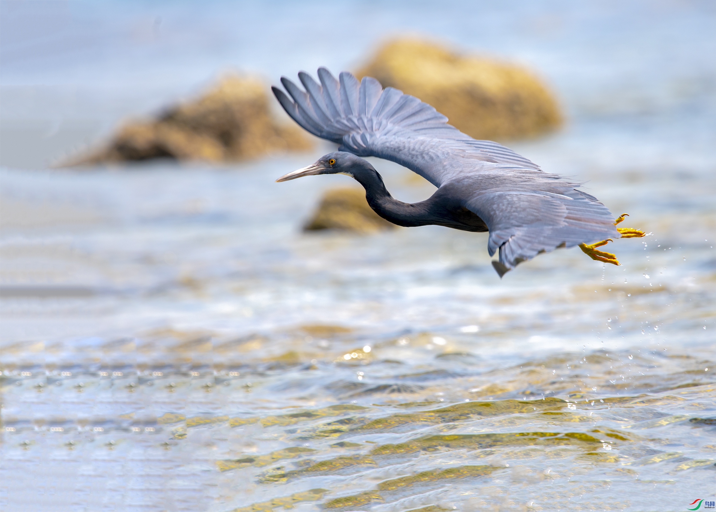 1886 ����.jpg