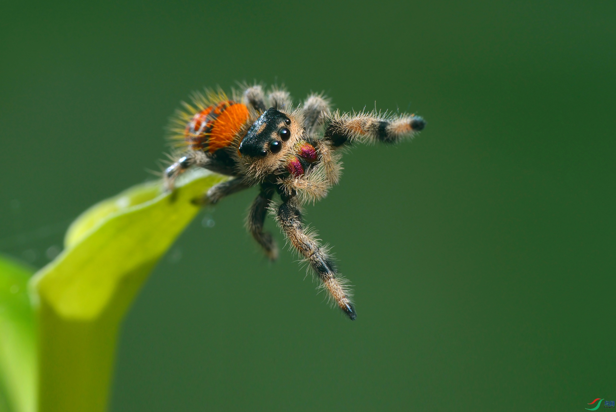 DSC_1626 ����.jpg