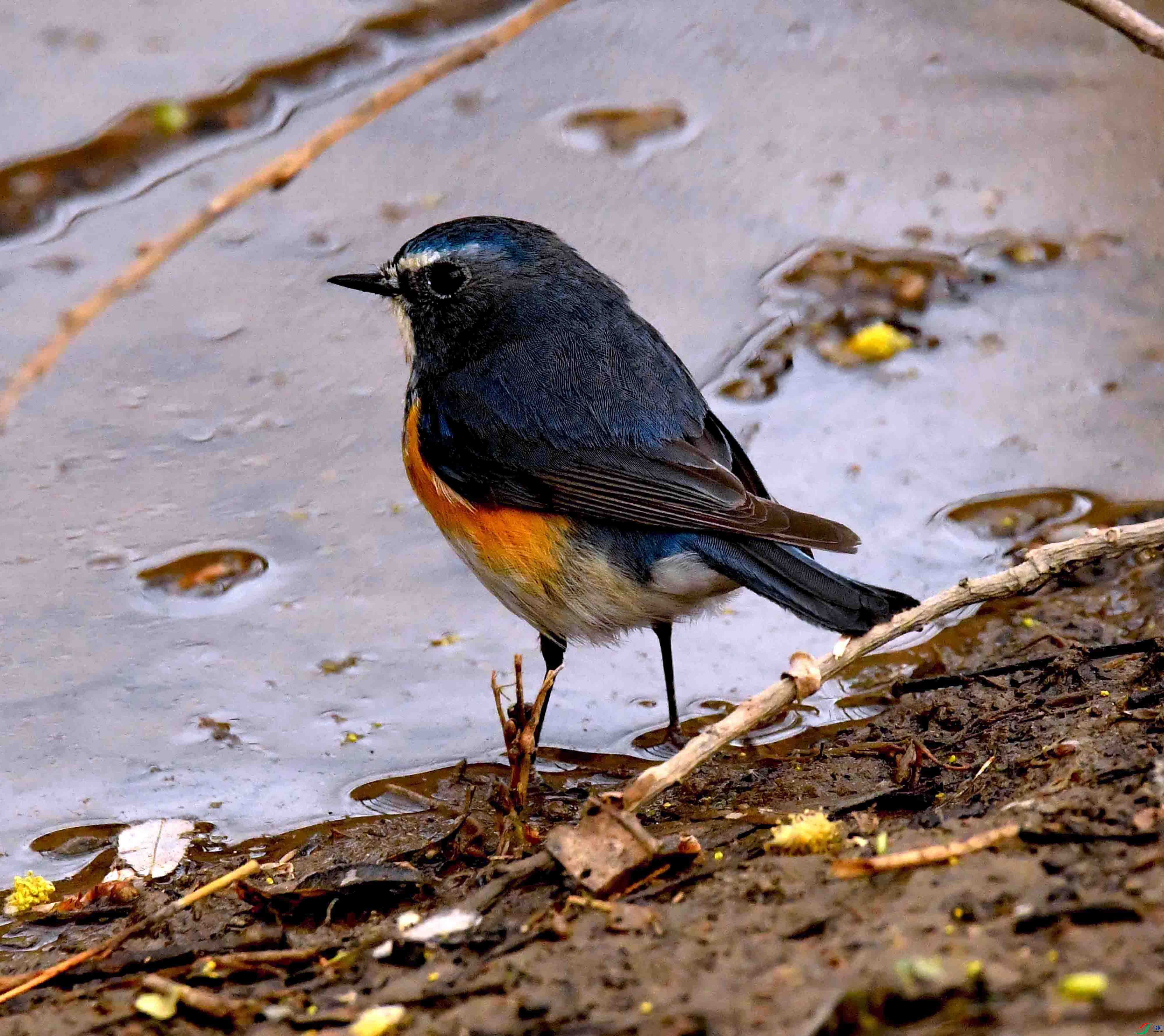 DSC_1536.JPG