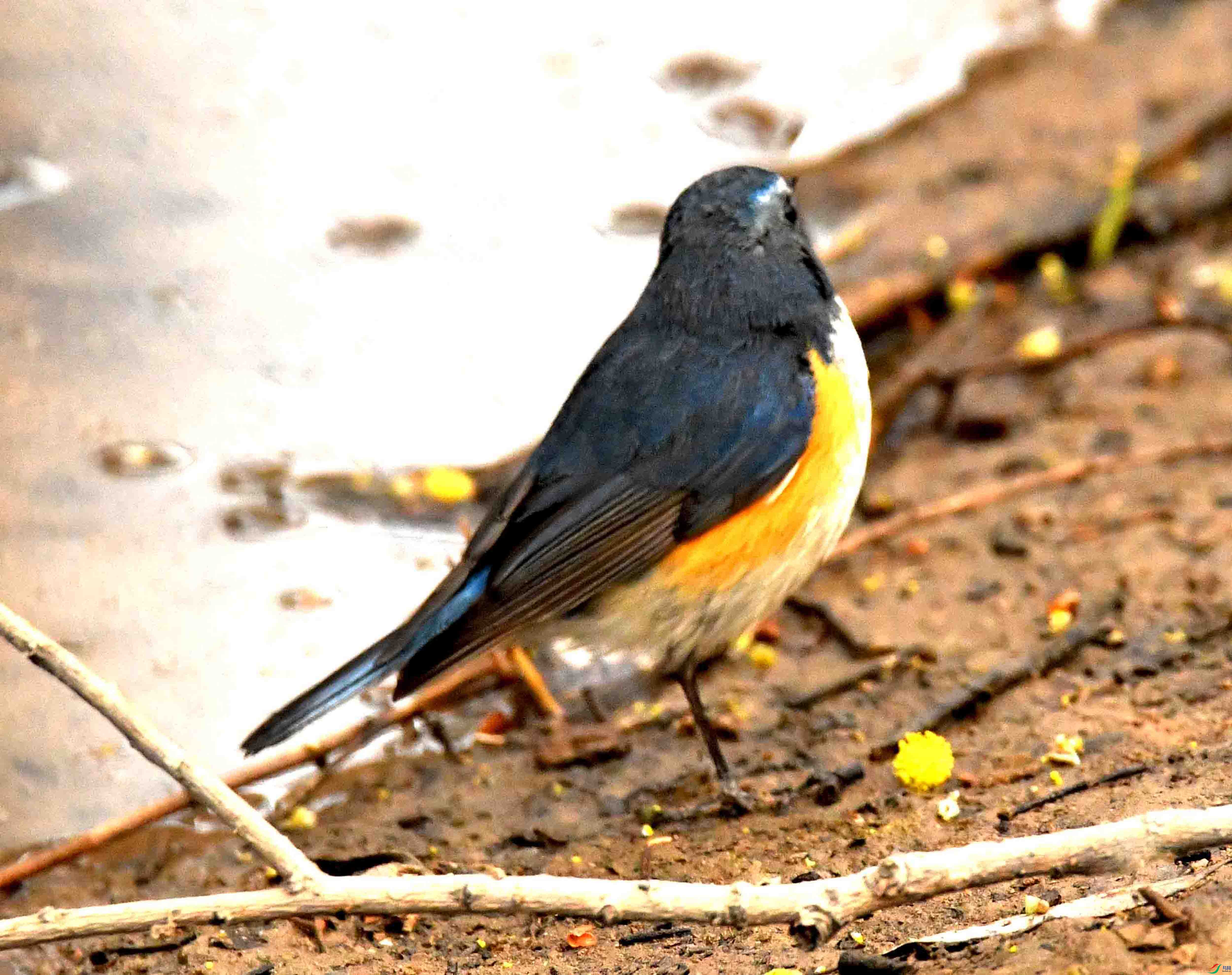 DSC_1538.JPG