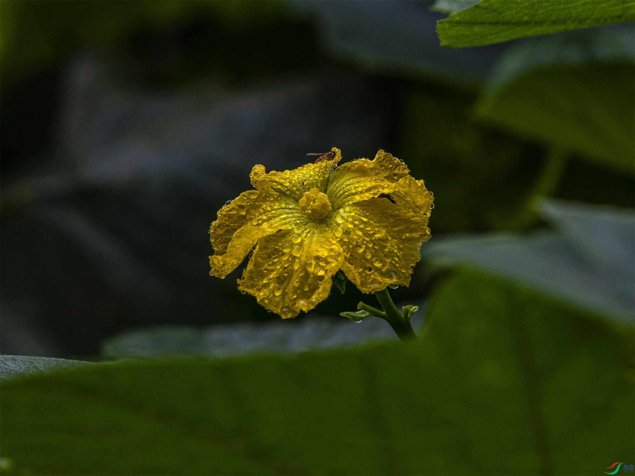 CY4A9911 ����1.jpg