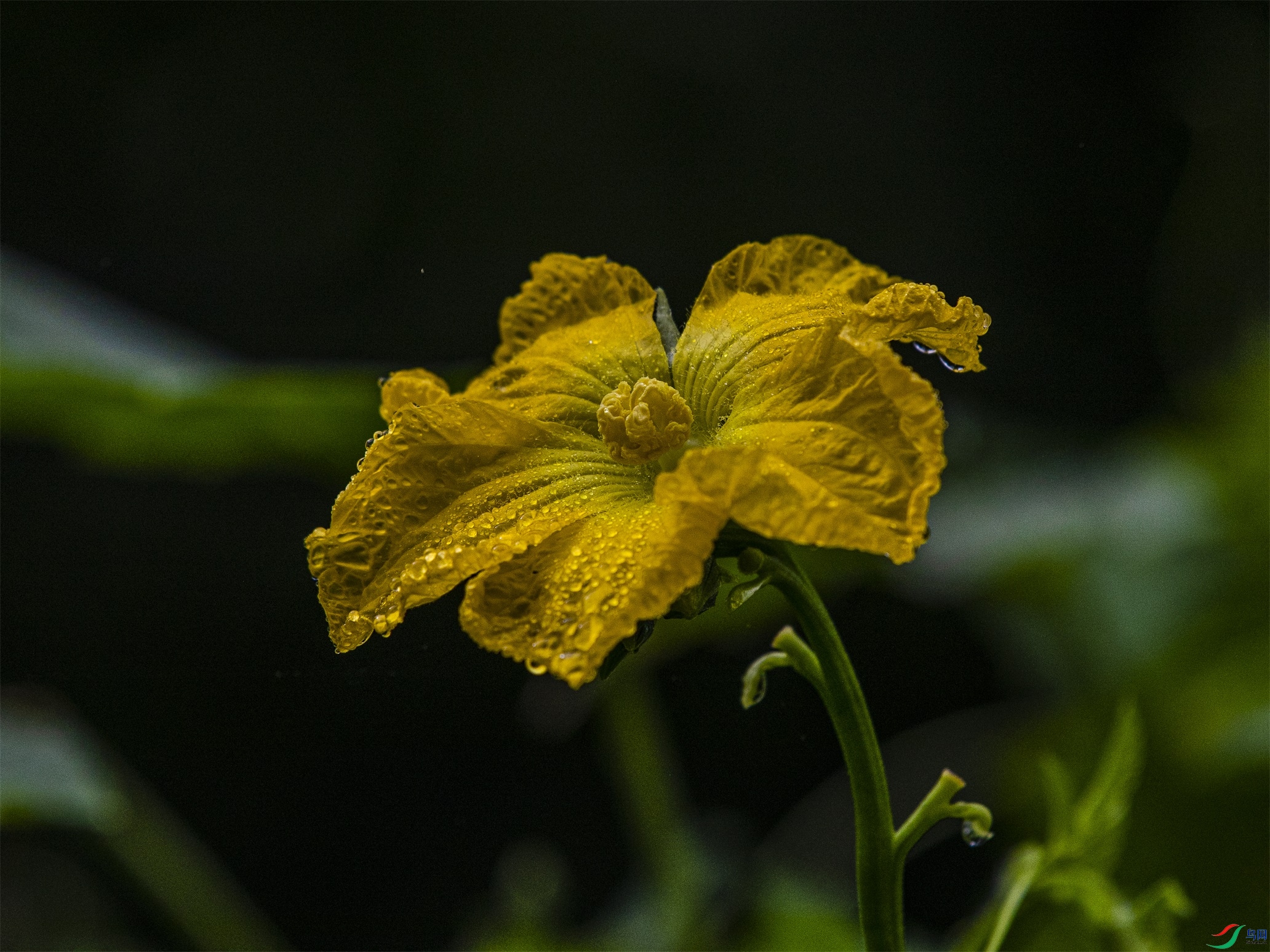 CY4A9908 ����1.jpg