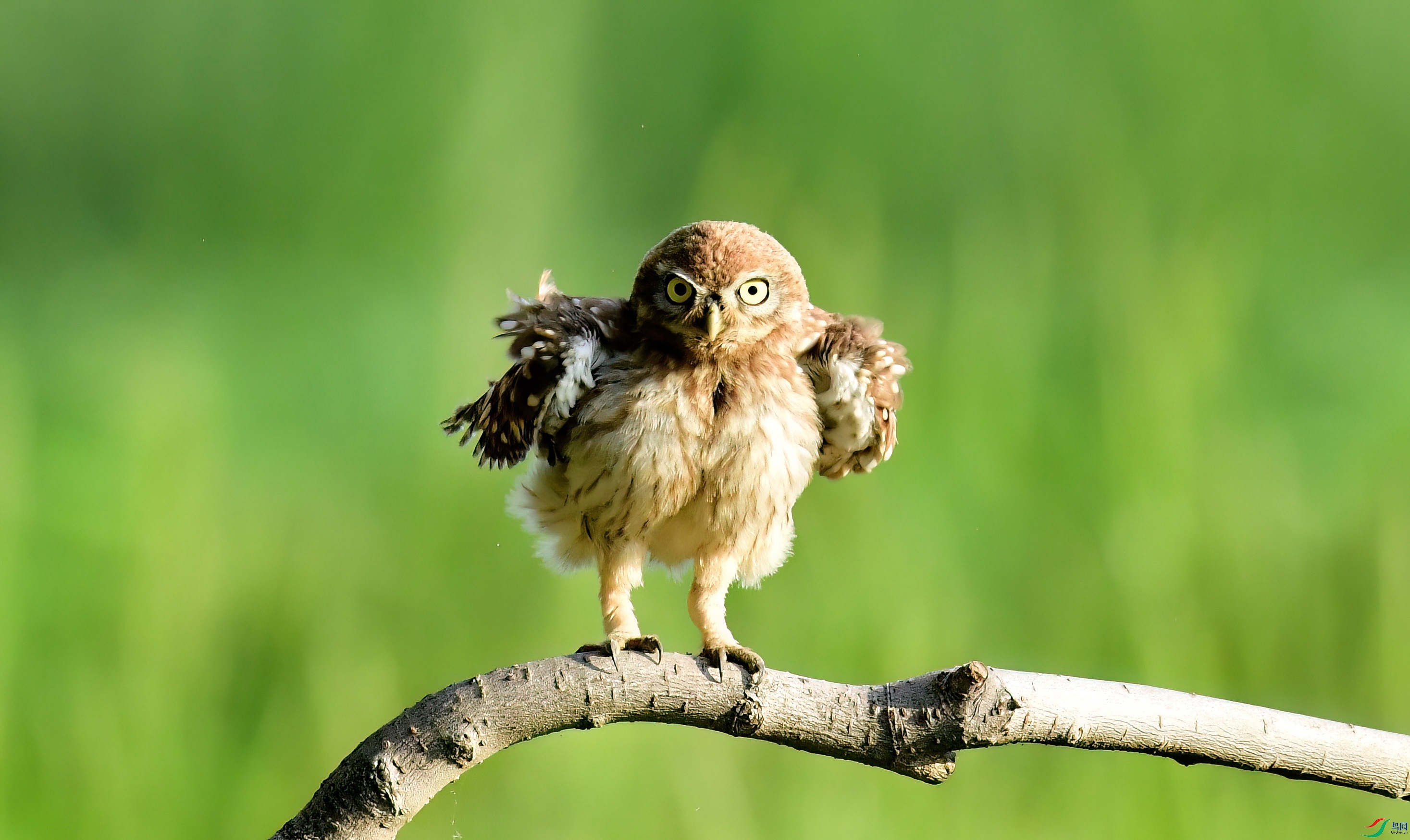 WZL_0811_����.jpg