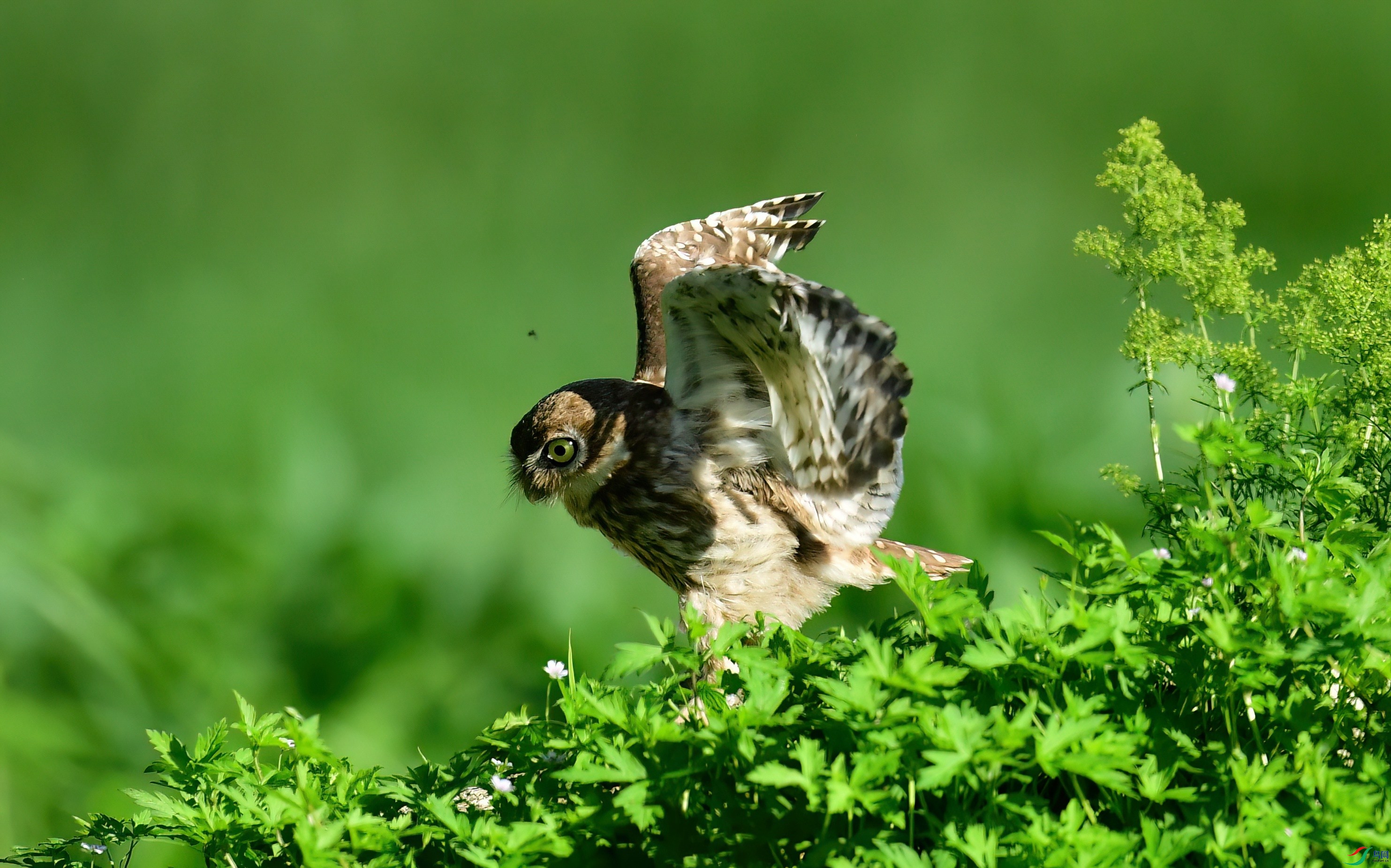 WZL_0483_����.jpg