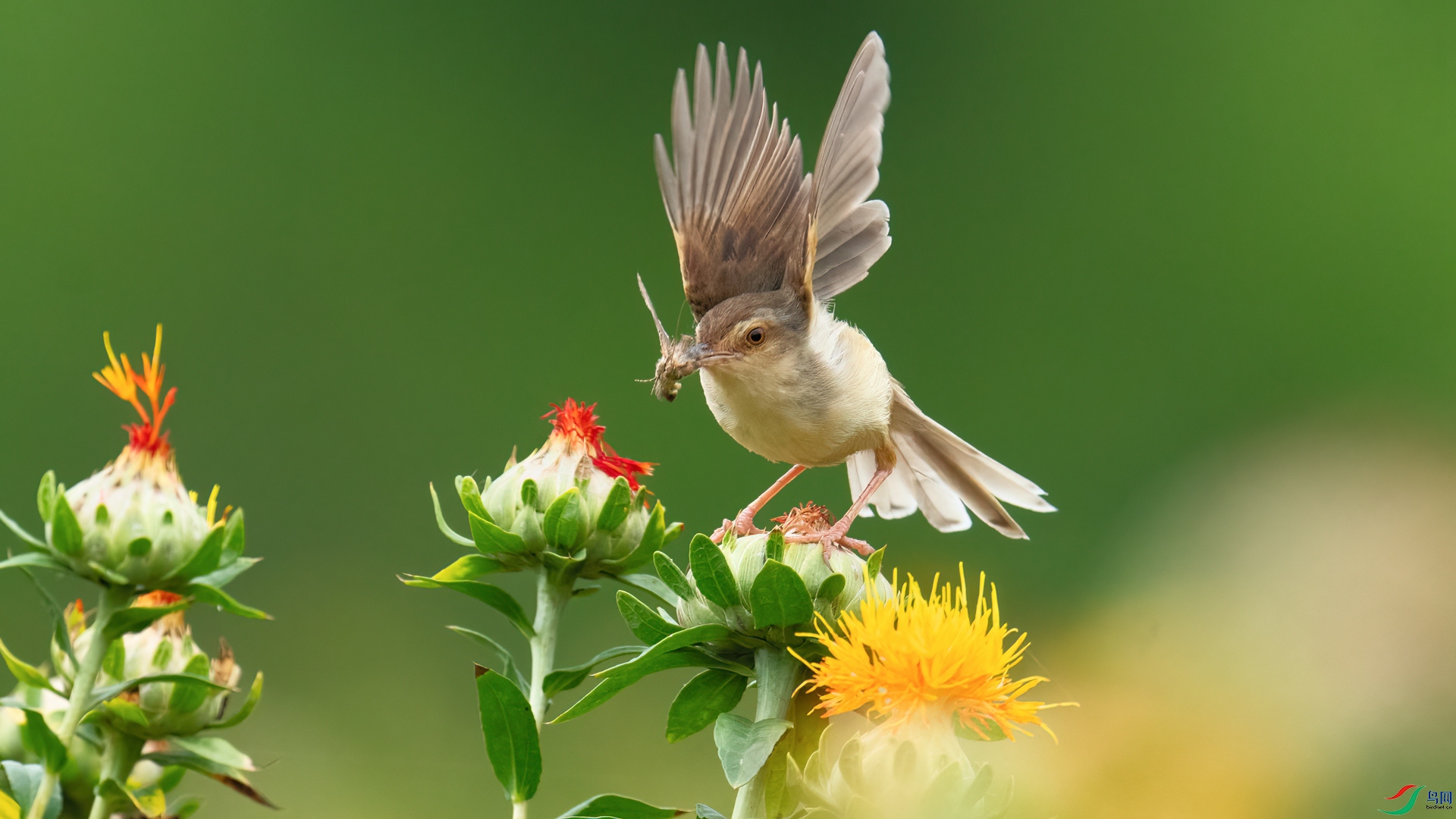 _DSC7053 ����_����.jpg