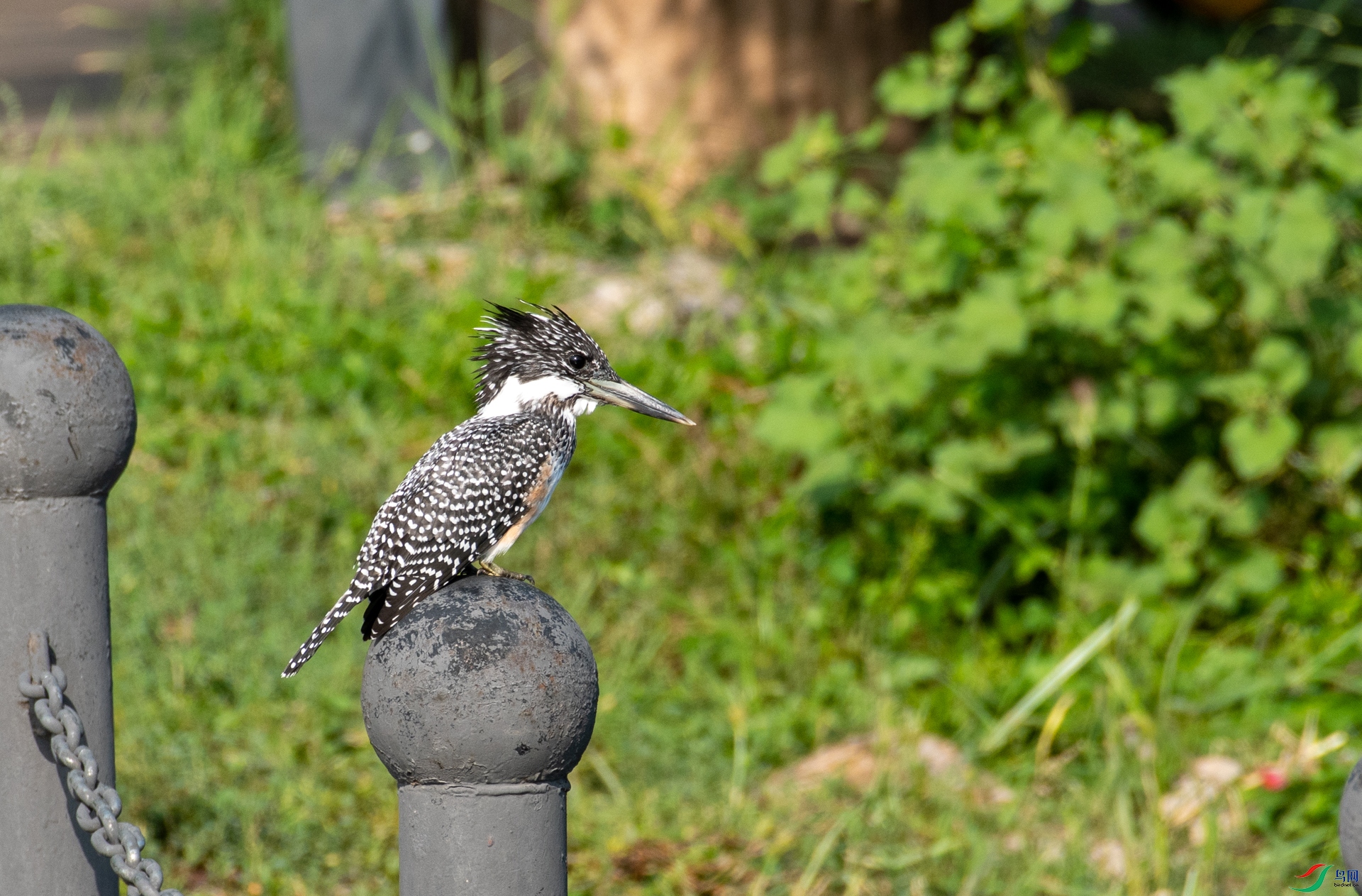 DSC_9062.jpg