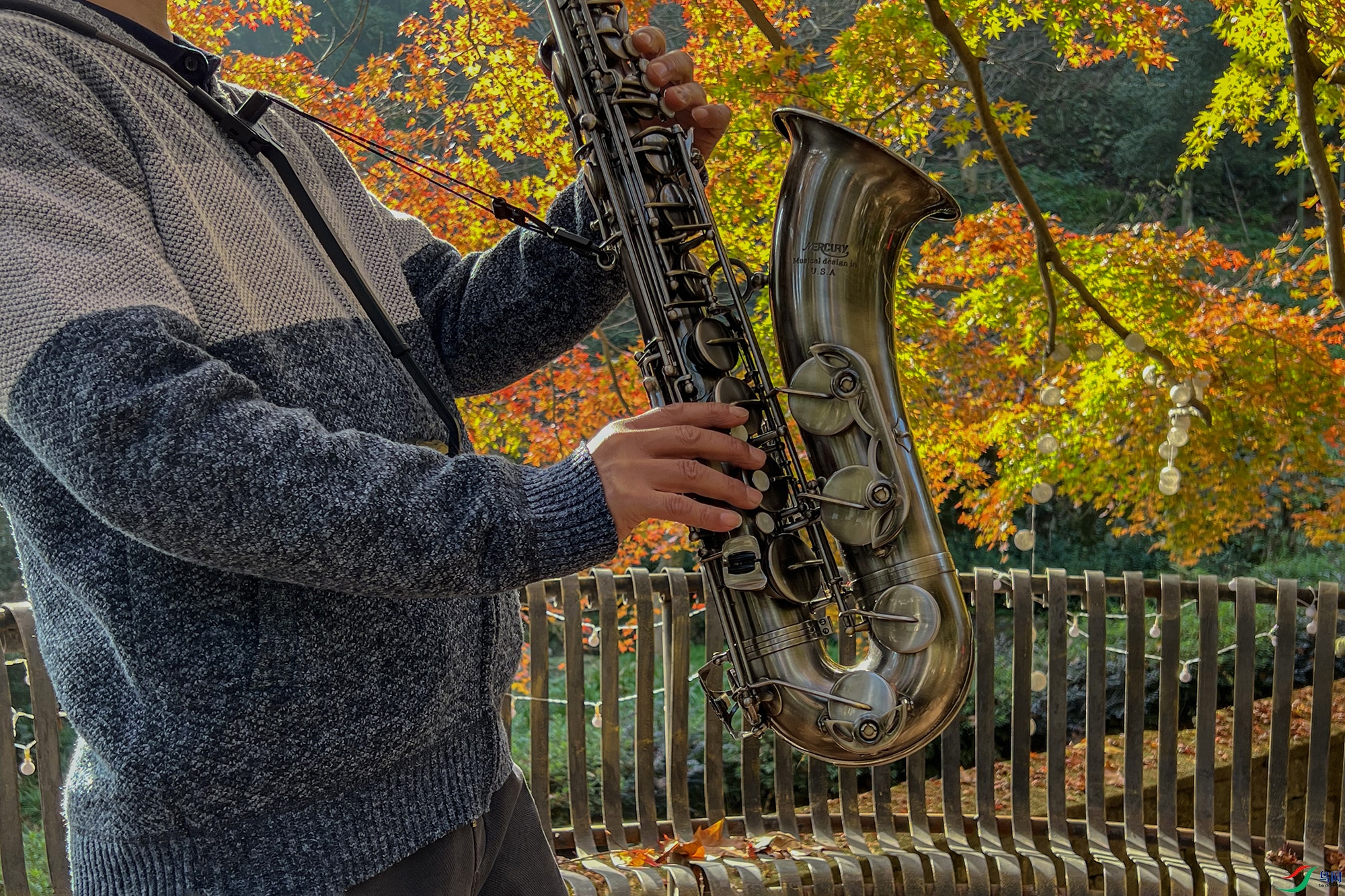 3f42b0c223024215c39edfd2cb83523 ����1.jpg