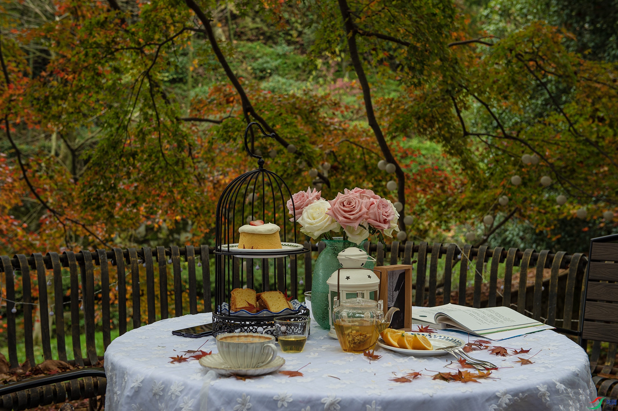 _DSC6604 ����1.jpg