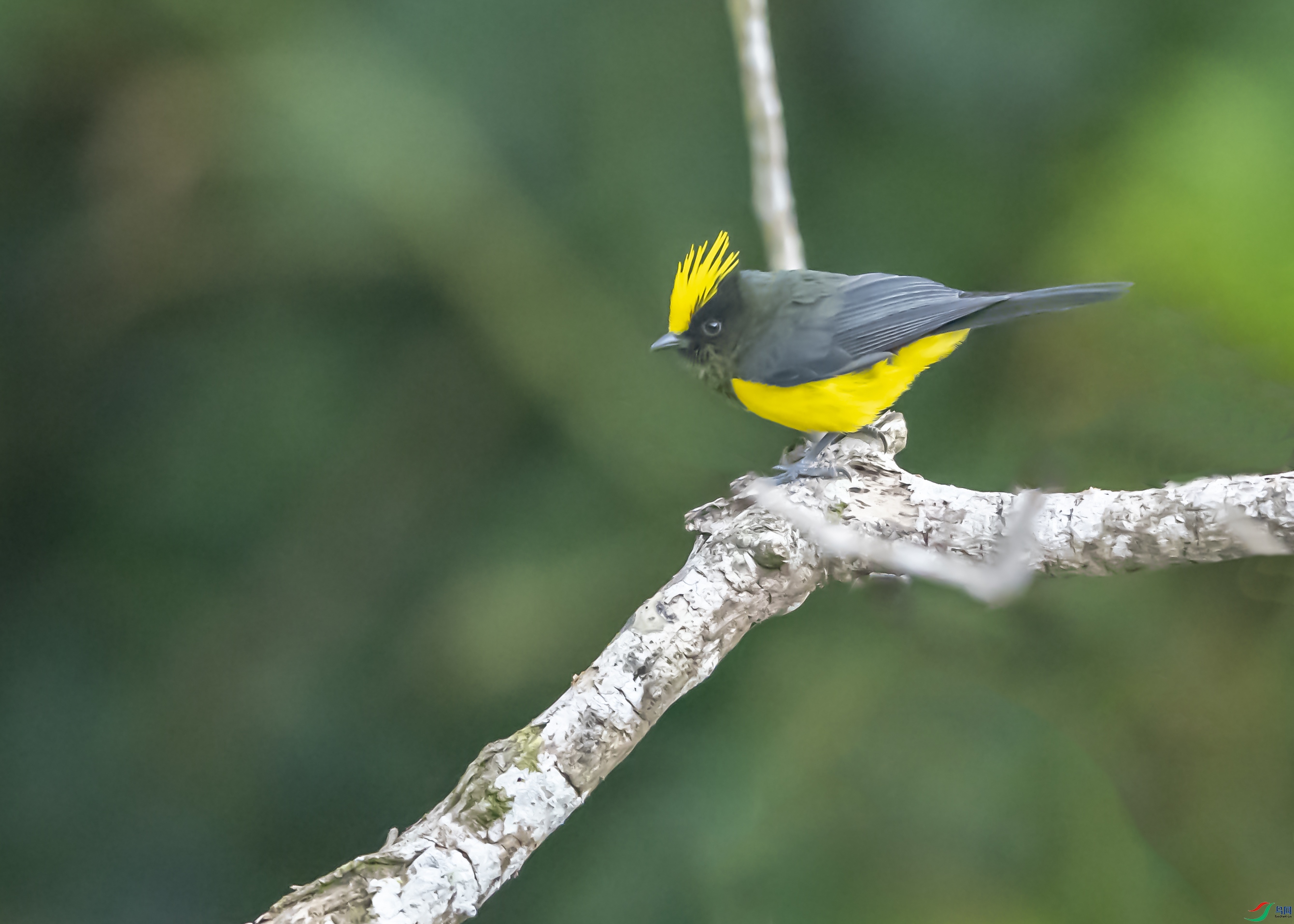 1378 ����.jpg