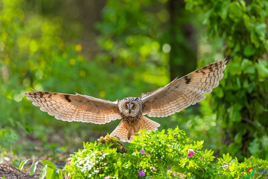 jlcyR230606 (4251)_DxO.jpg