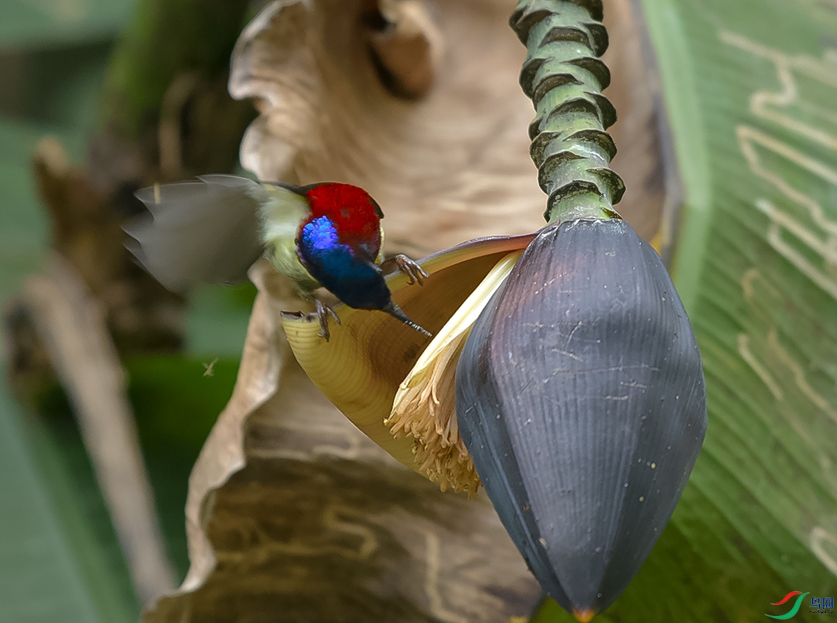 DSC_2160.JPG