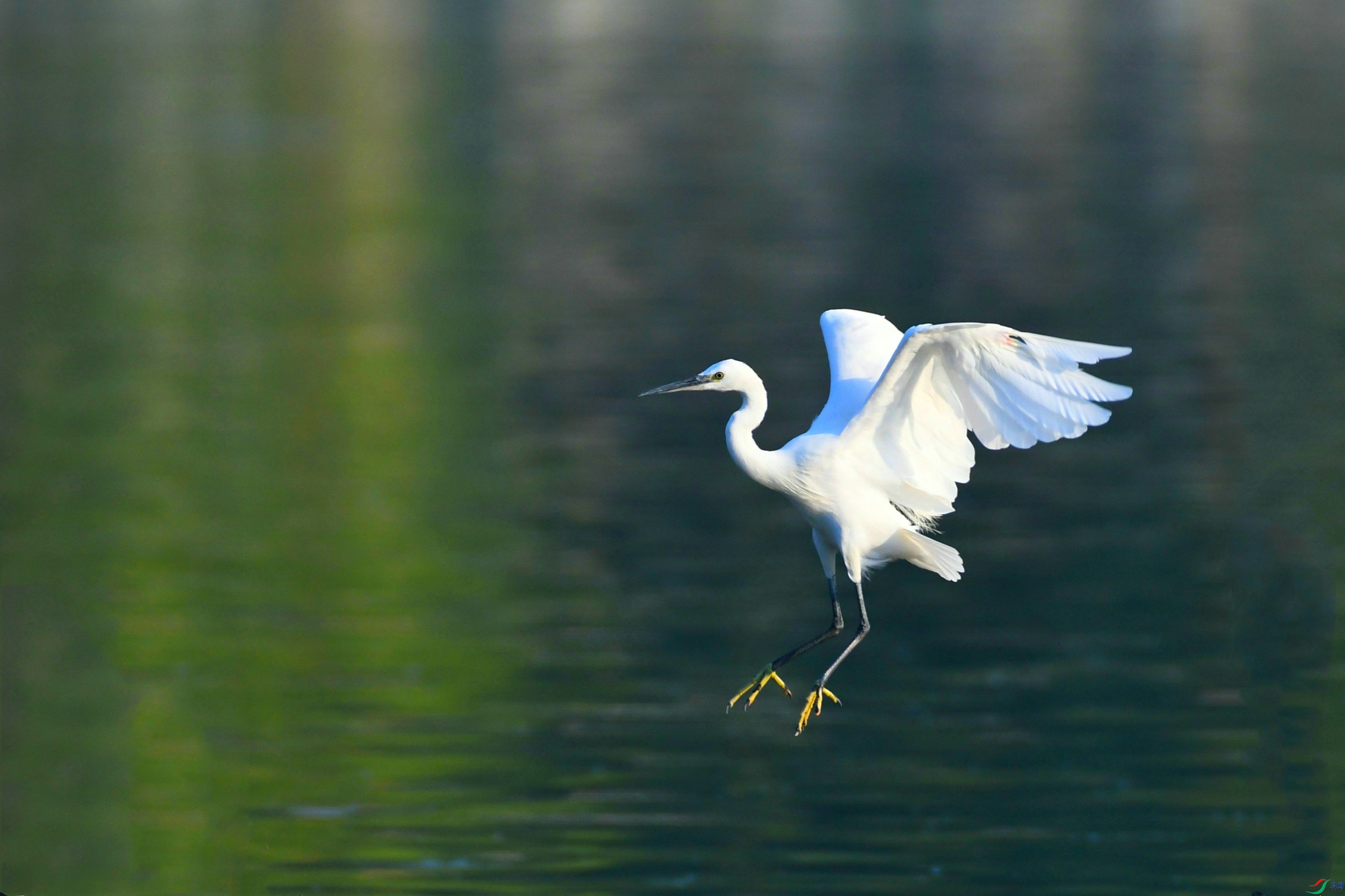 DSC_6431.JPG