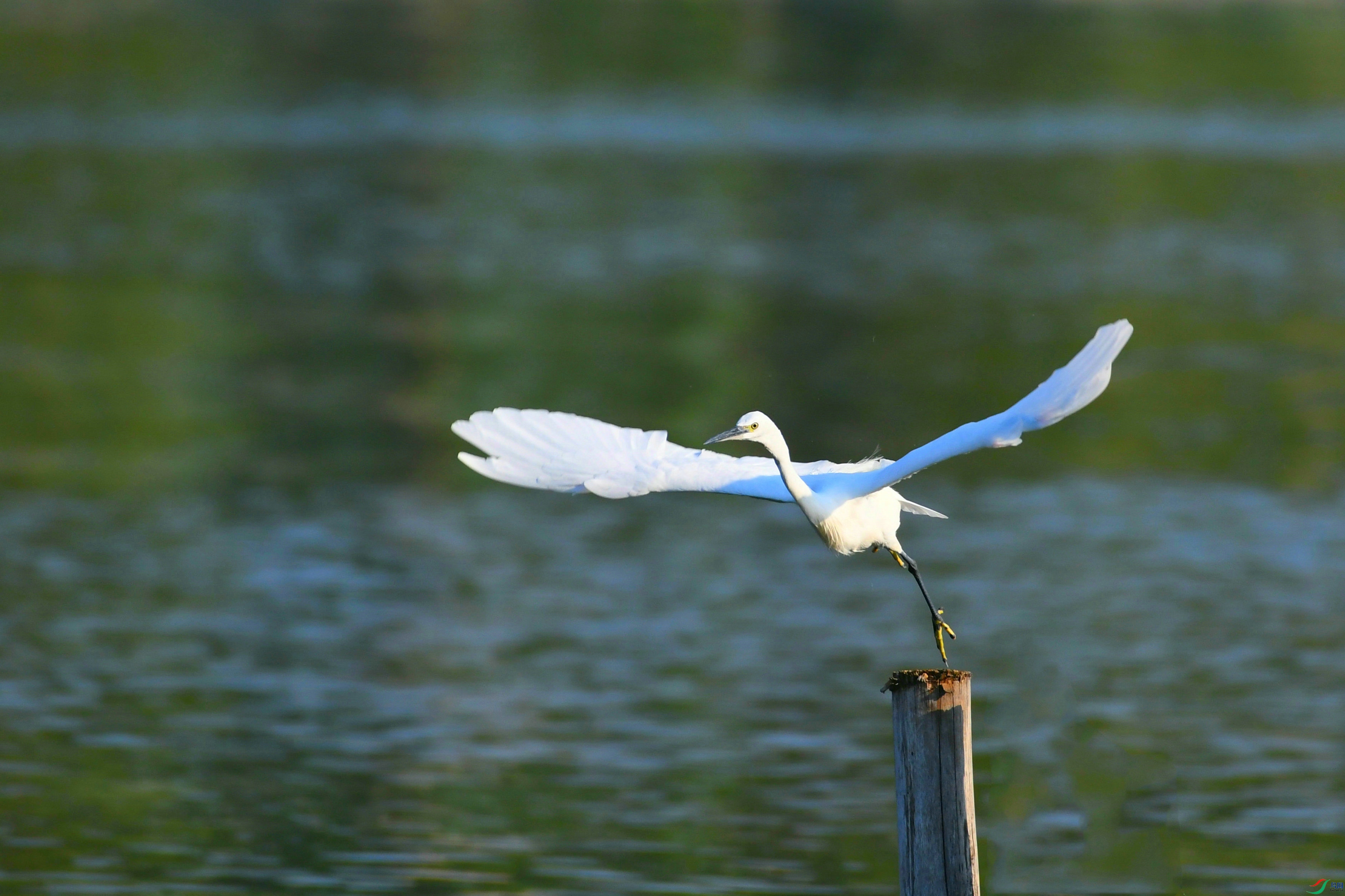 DSC_6444.JPG
