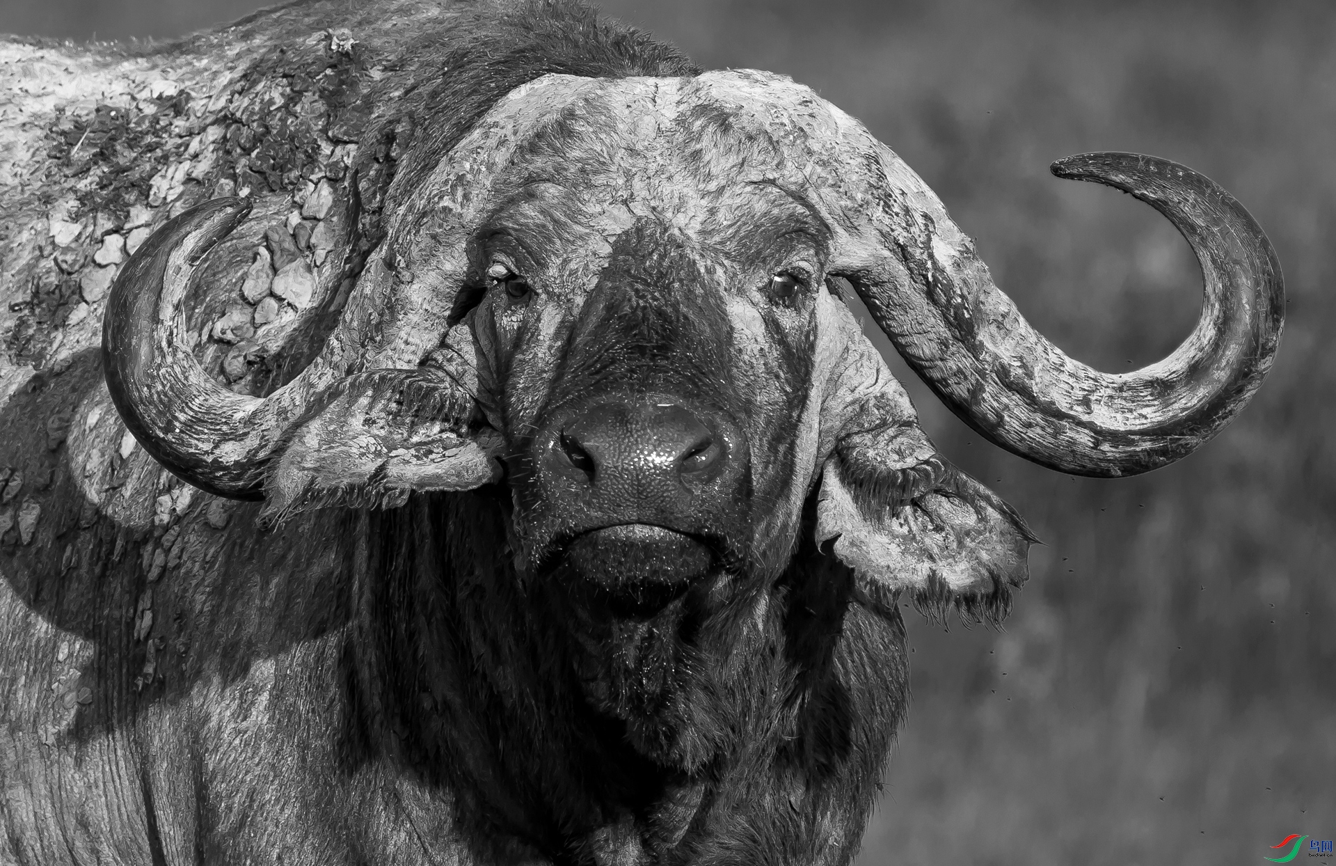 ����Ұţ .jpg