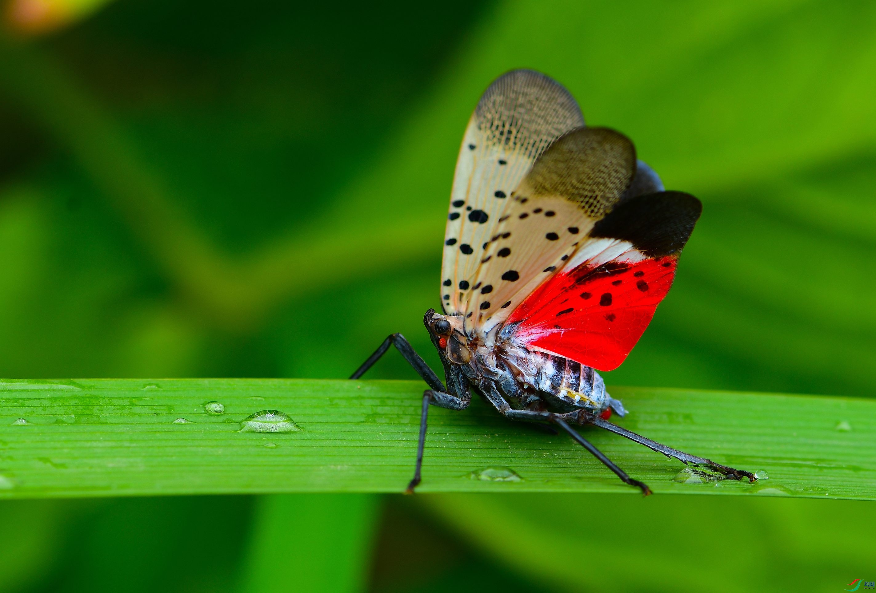 DSC_8116.JPG