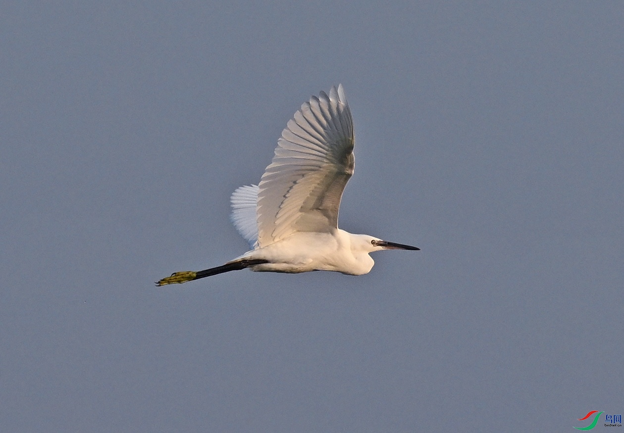 DSC_1506.jpg