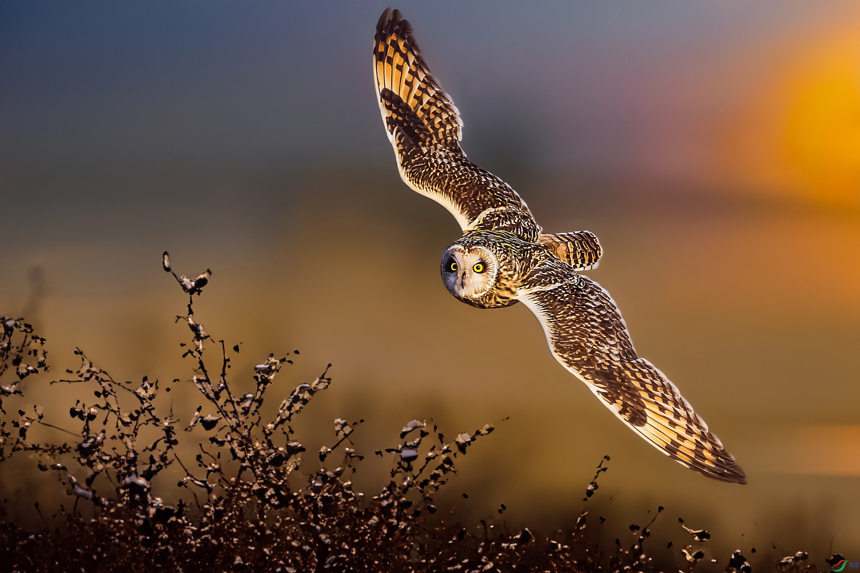 IMGL6149 ����.jpg