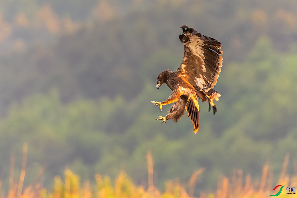 jlcyR230606 (1258)_DxO.jpg