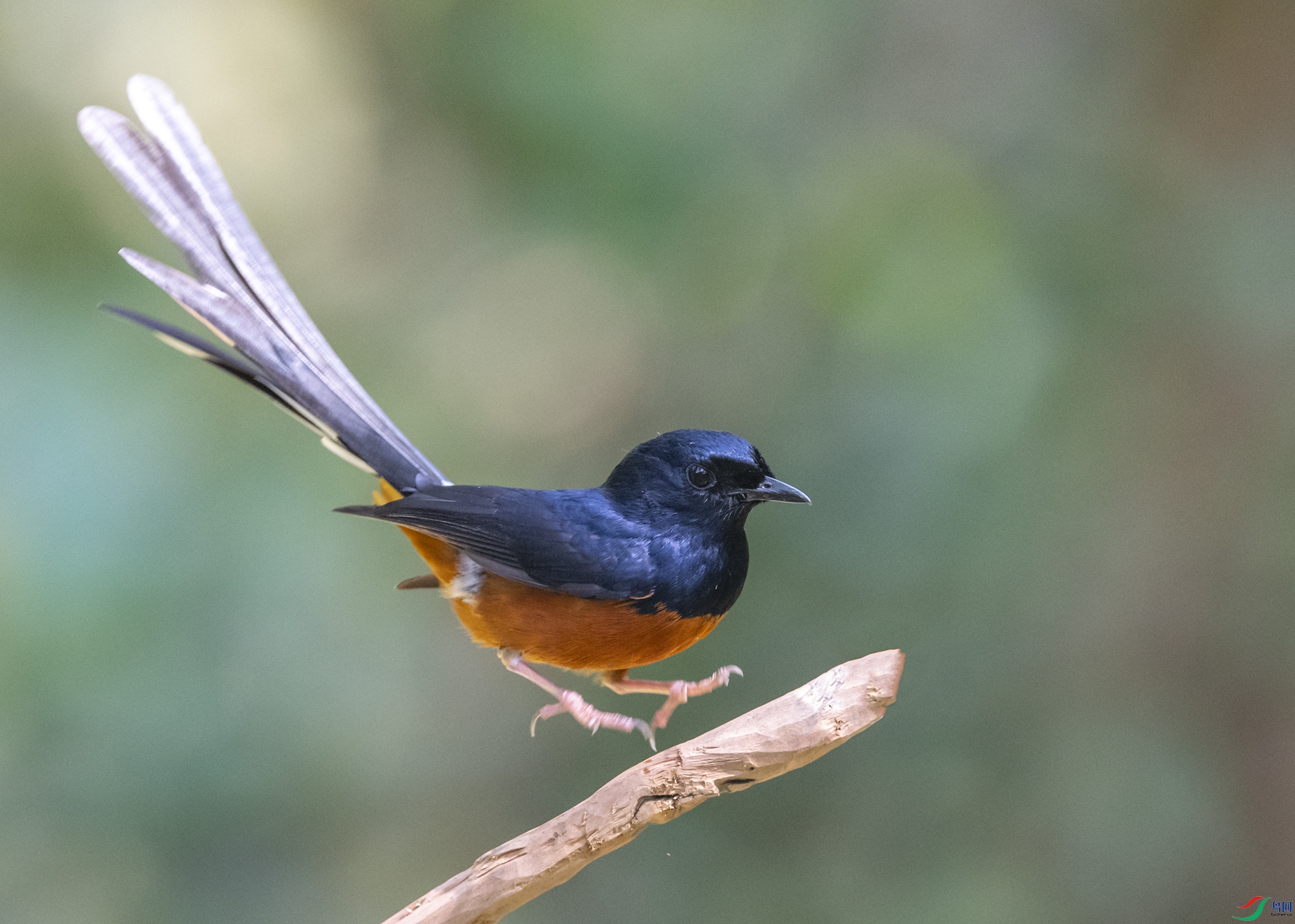 6070 ����.jpg