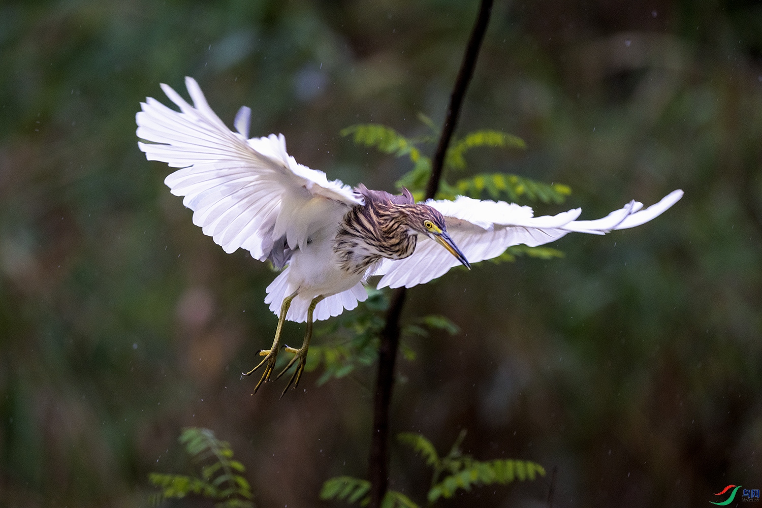 AAA_0433.jpg