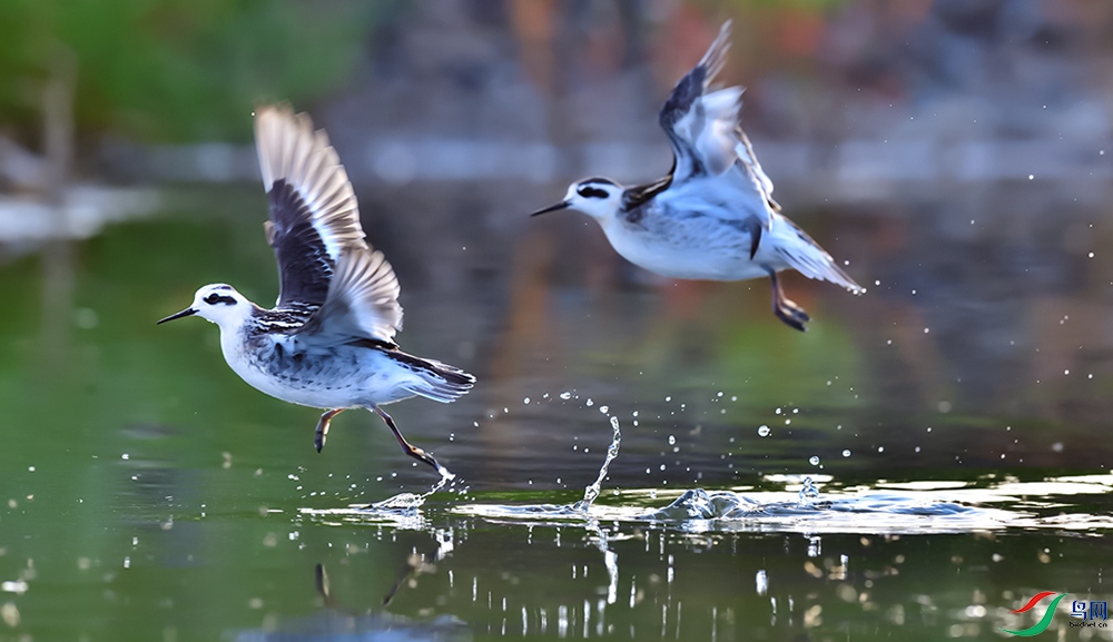 DSC_7567 ����.jpg2.jpg