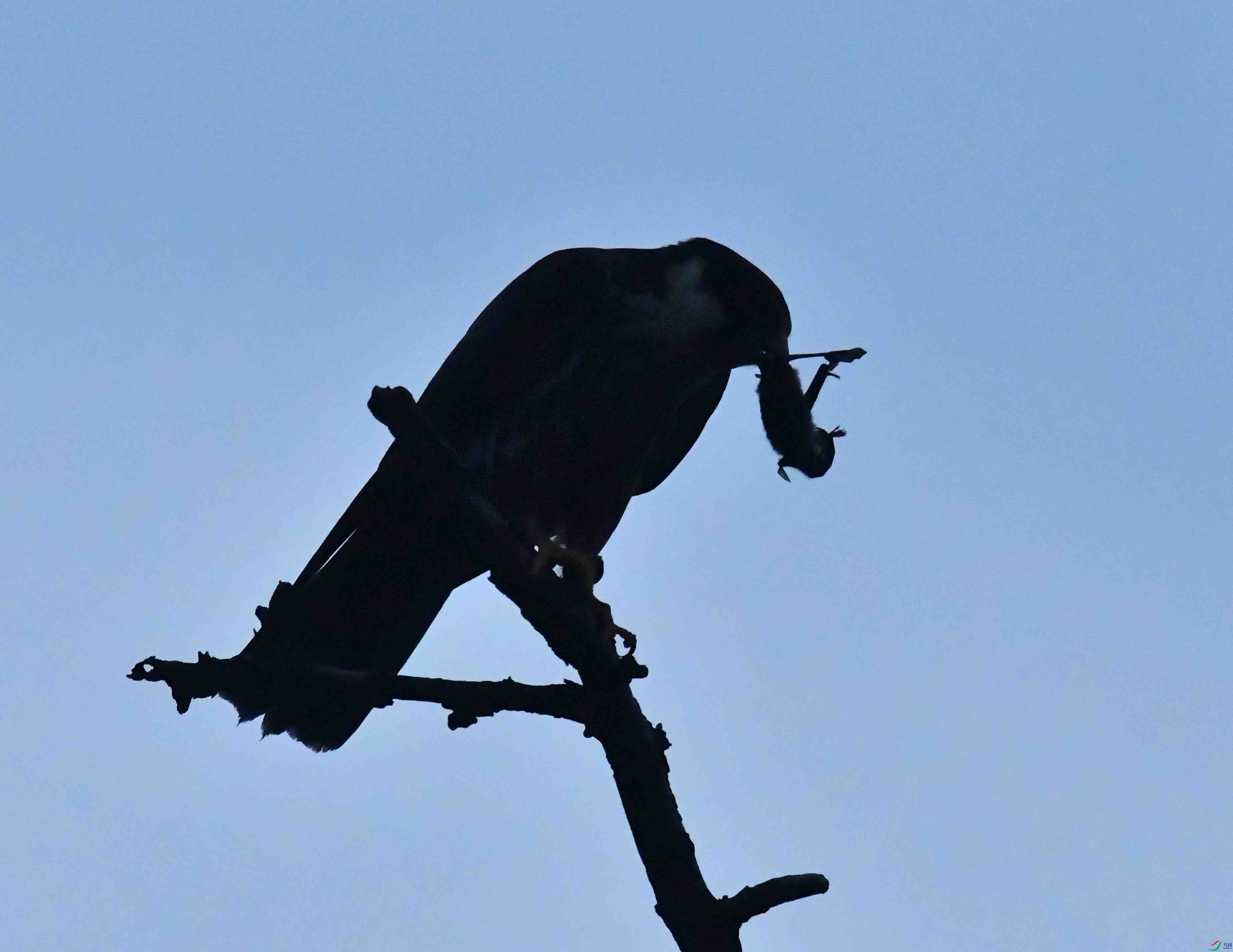 DSC_4863.JPG
