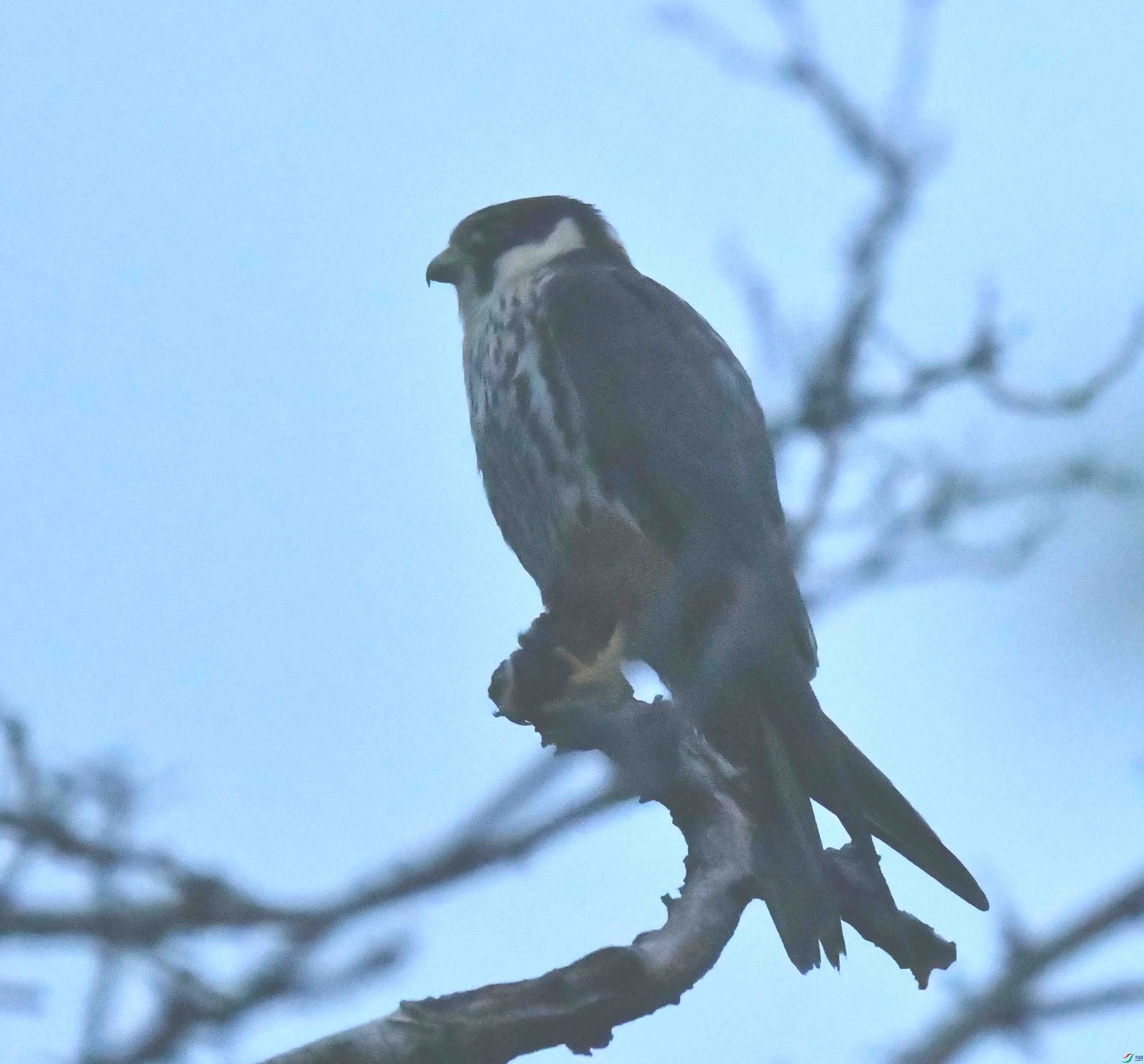 DSC_4896.JPG