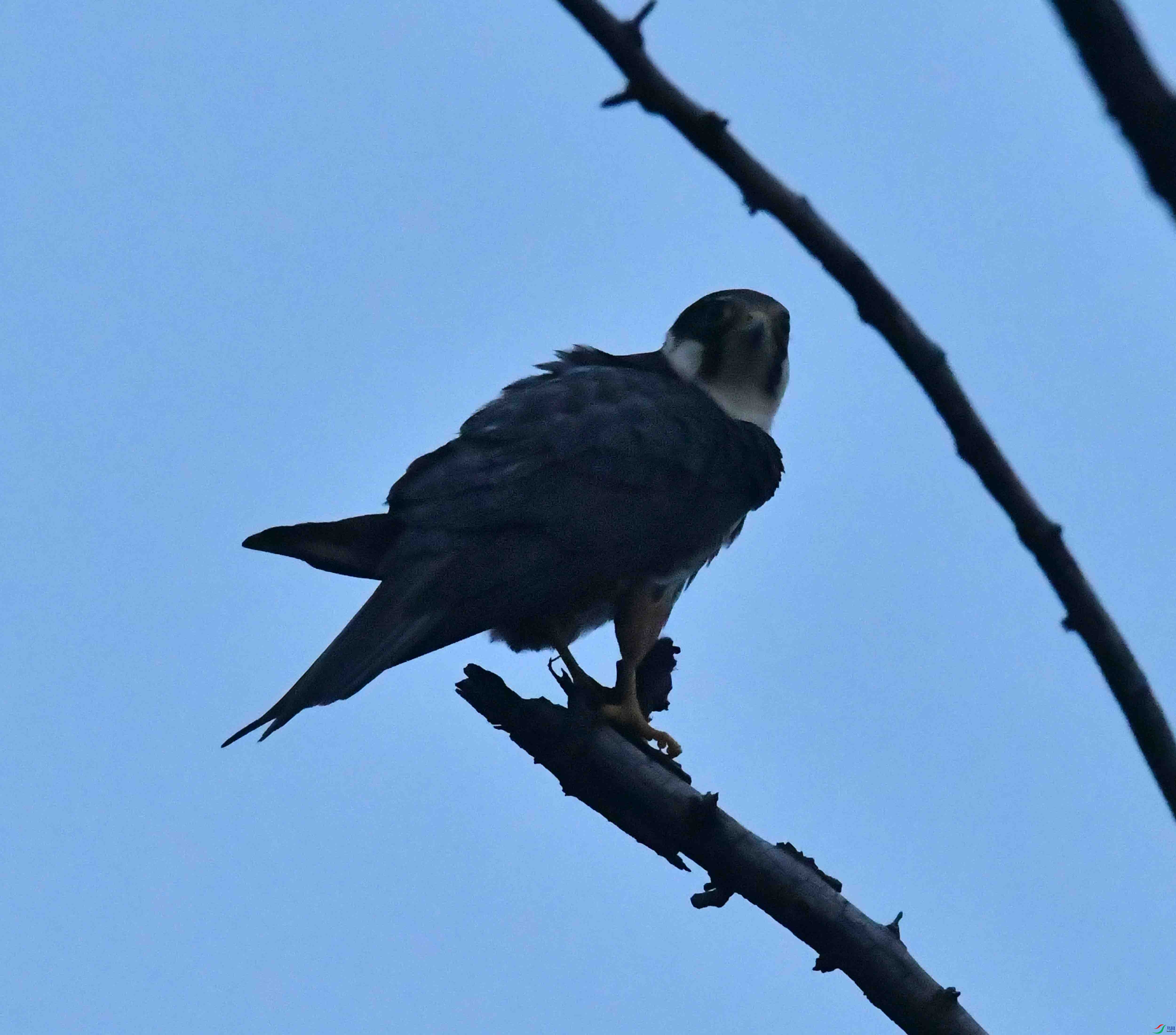 DSC_4906.JPG