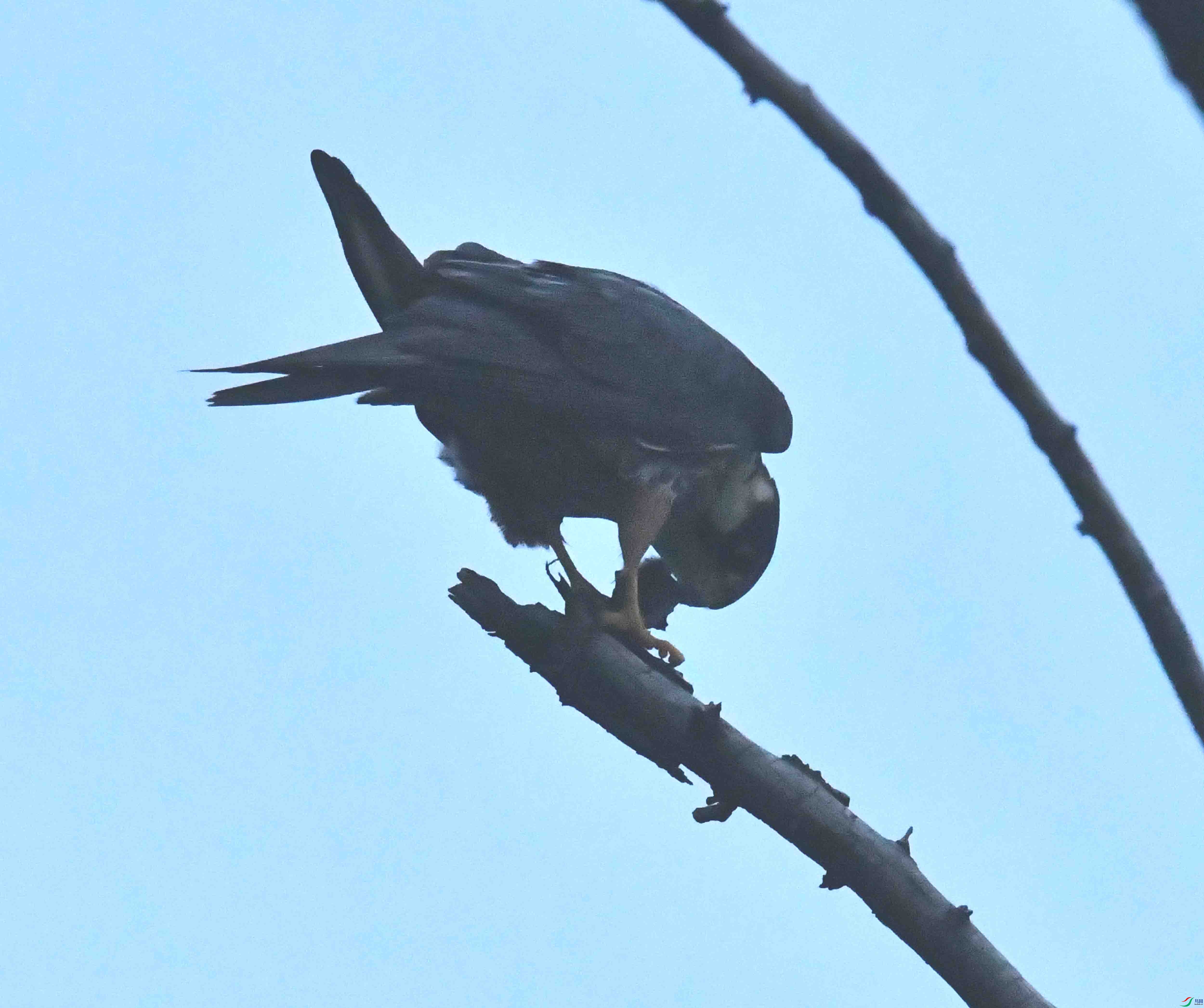 DSC_4909.JPG
