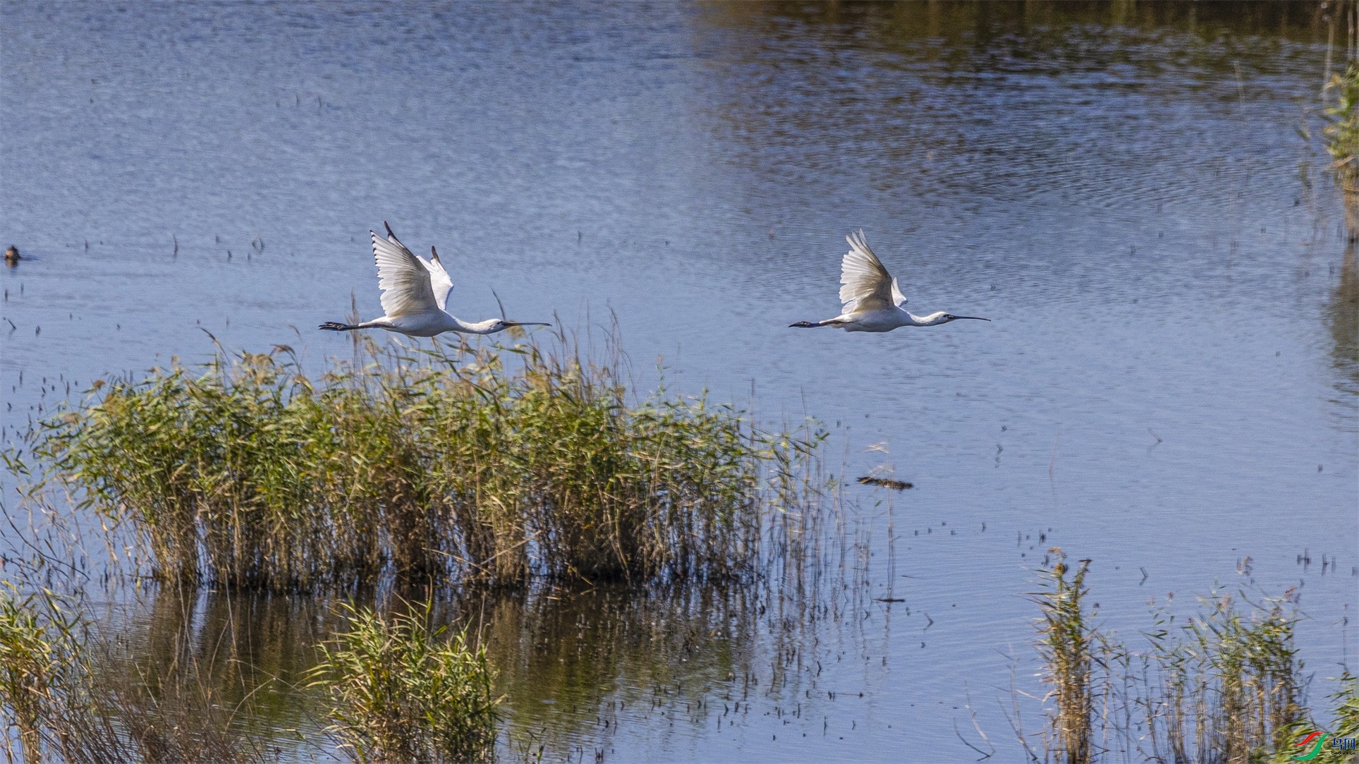 1K3A1613 ����1.jpg