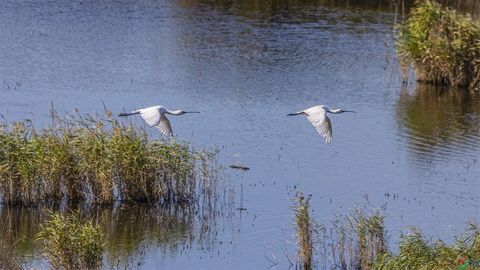 1K3A1614 ����1.jpg