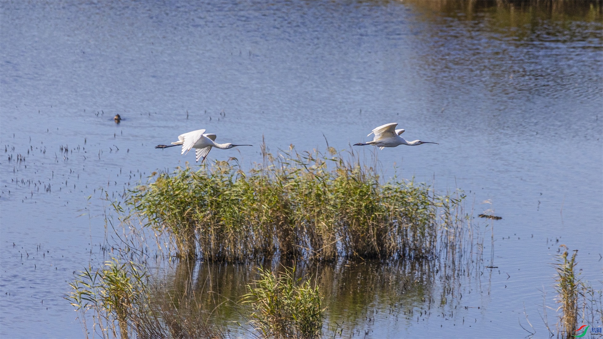 1K3A1612 ����1.jpg