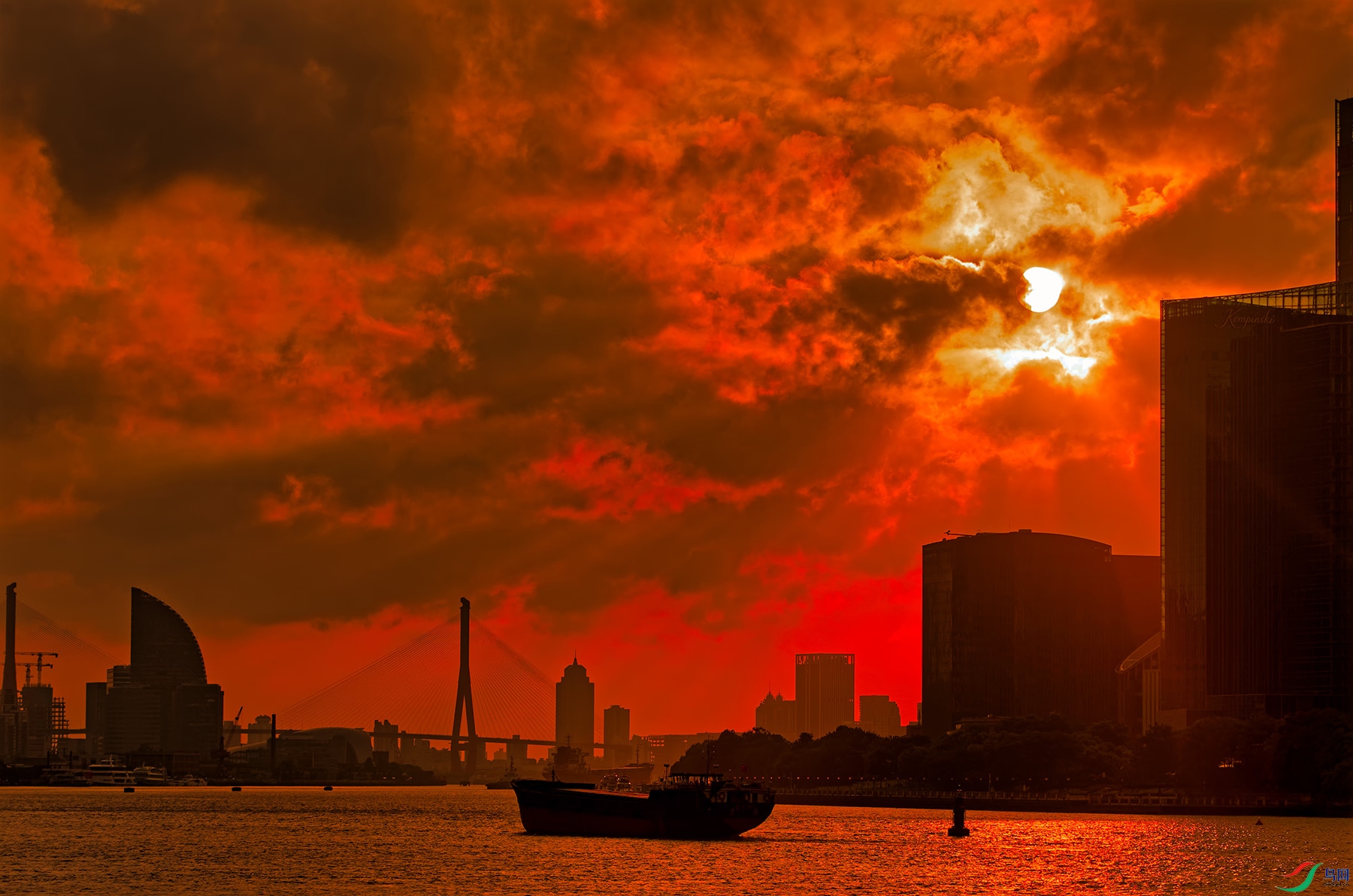 DSC_0805a.jpg