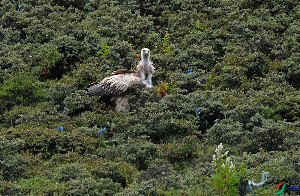 DSCF7728.1.jpg