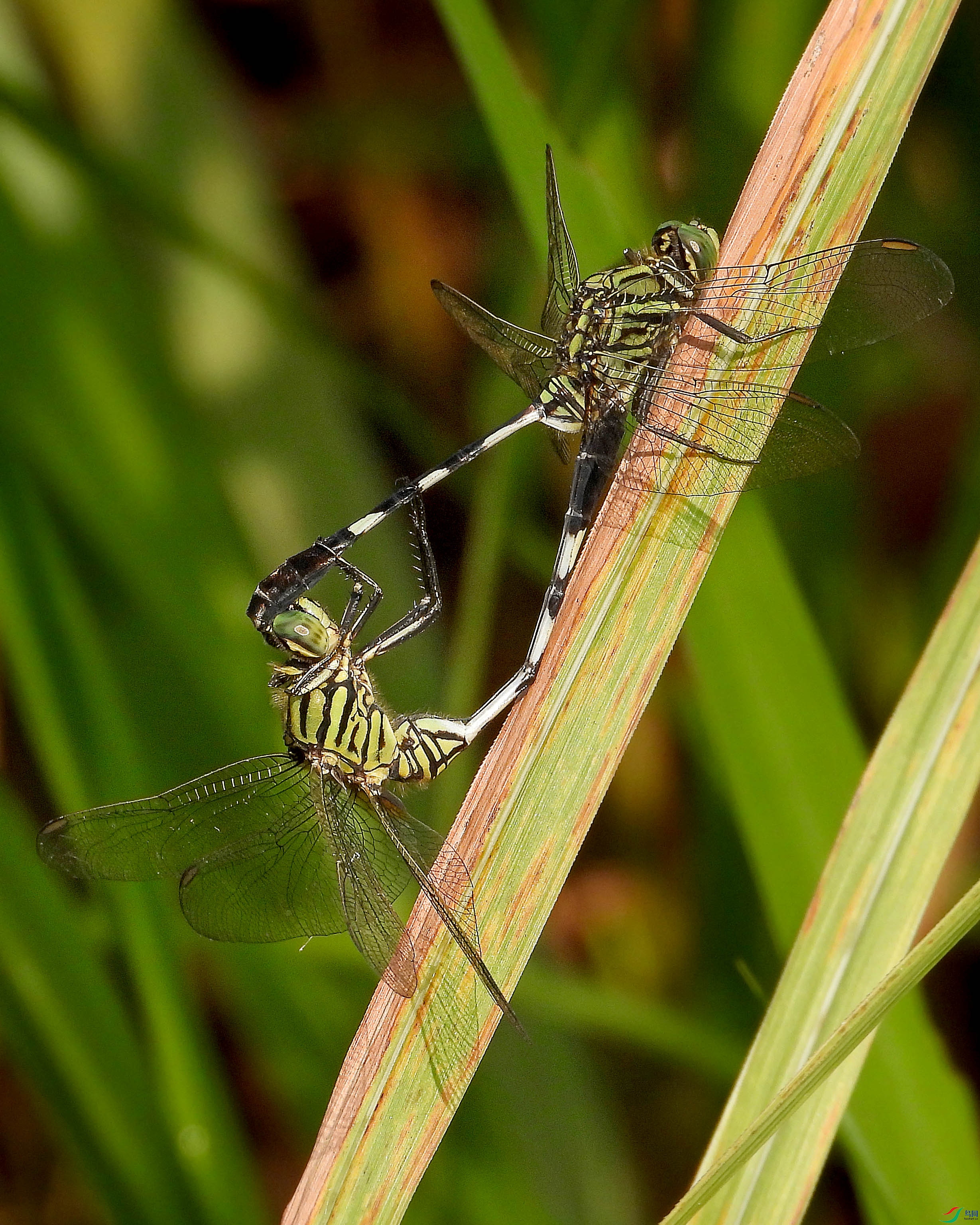 DSCN8942.JPG