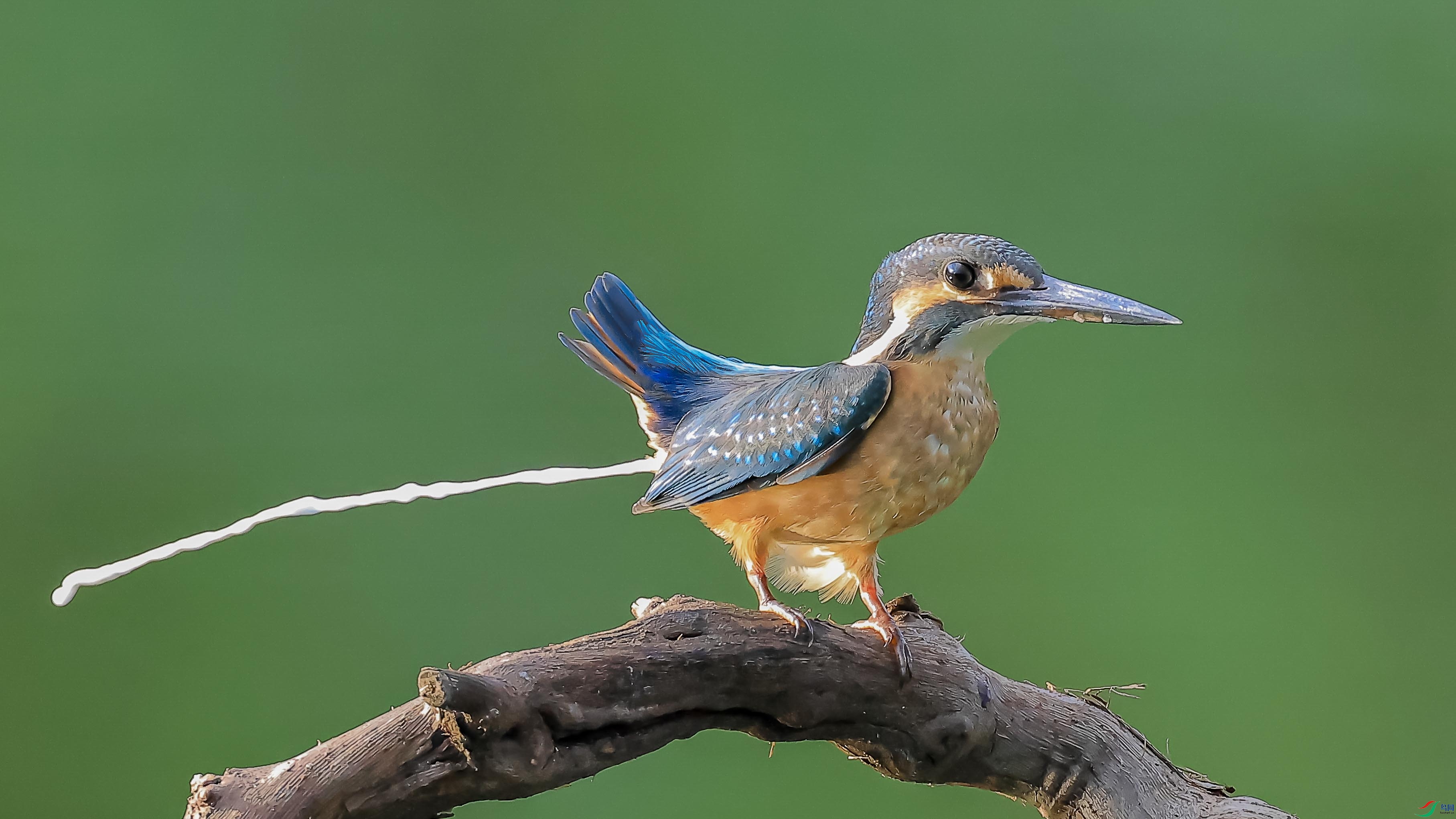 5Z0A9667 ���� 3.jpg