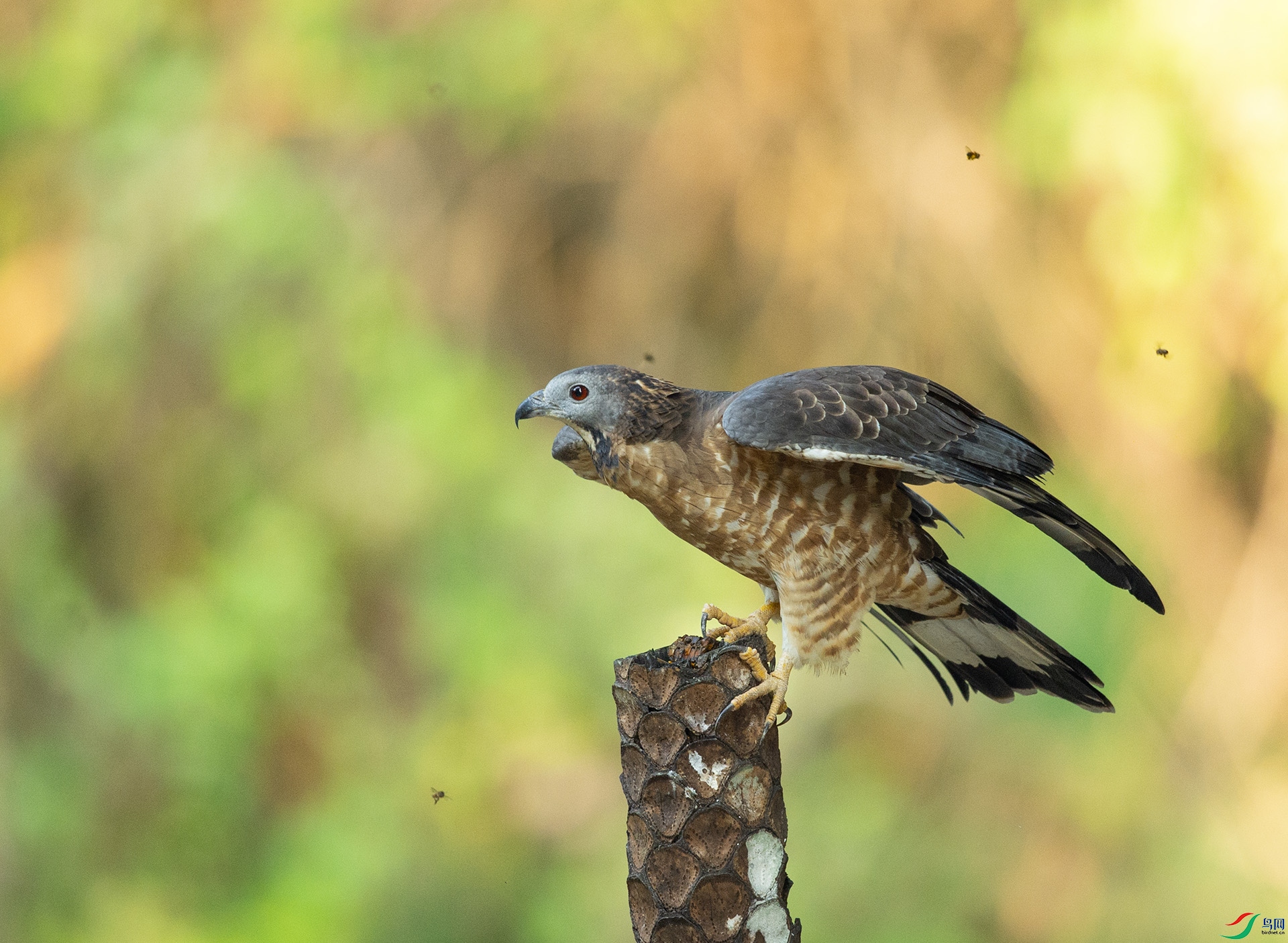 ��DSC_8667 ��ؐ.jpg