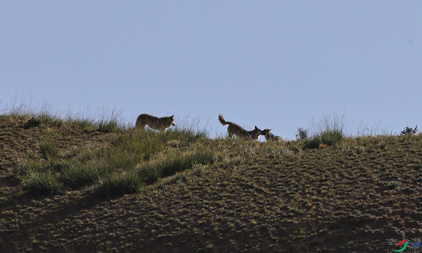 7X5A9133 - ����.JPG