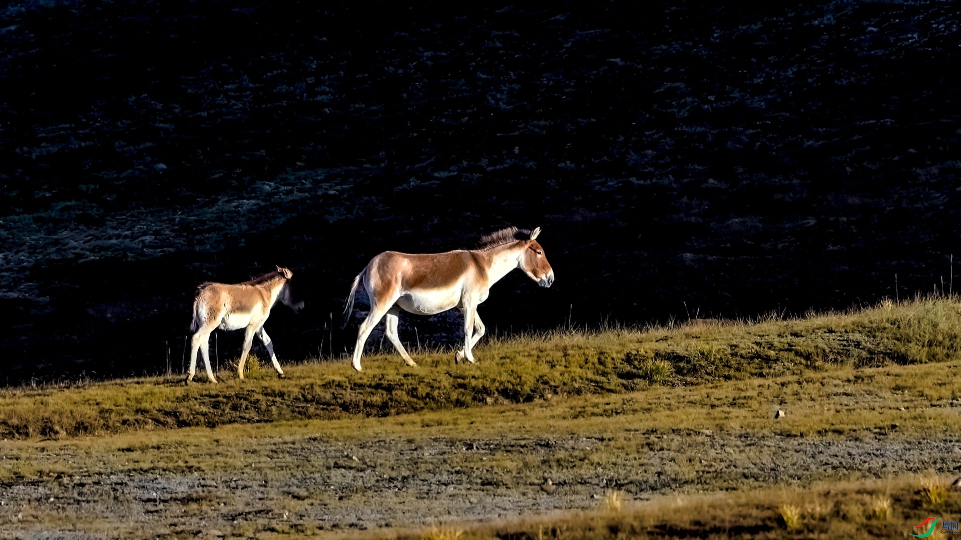 _DSC3347_����.jpg
