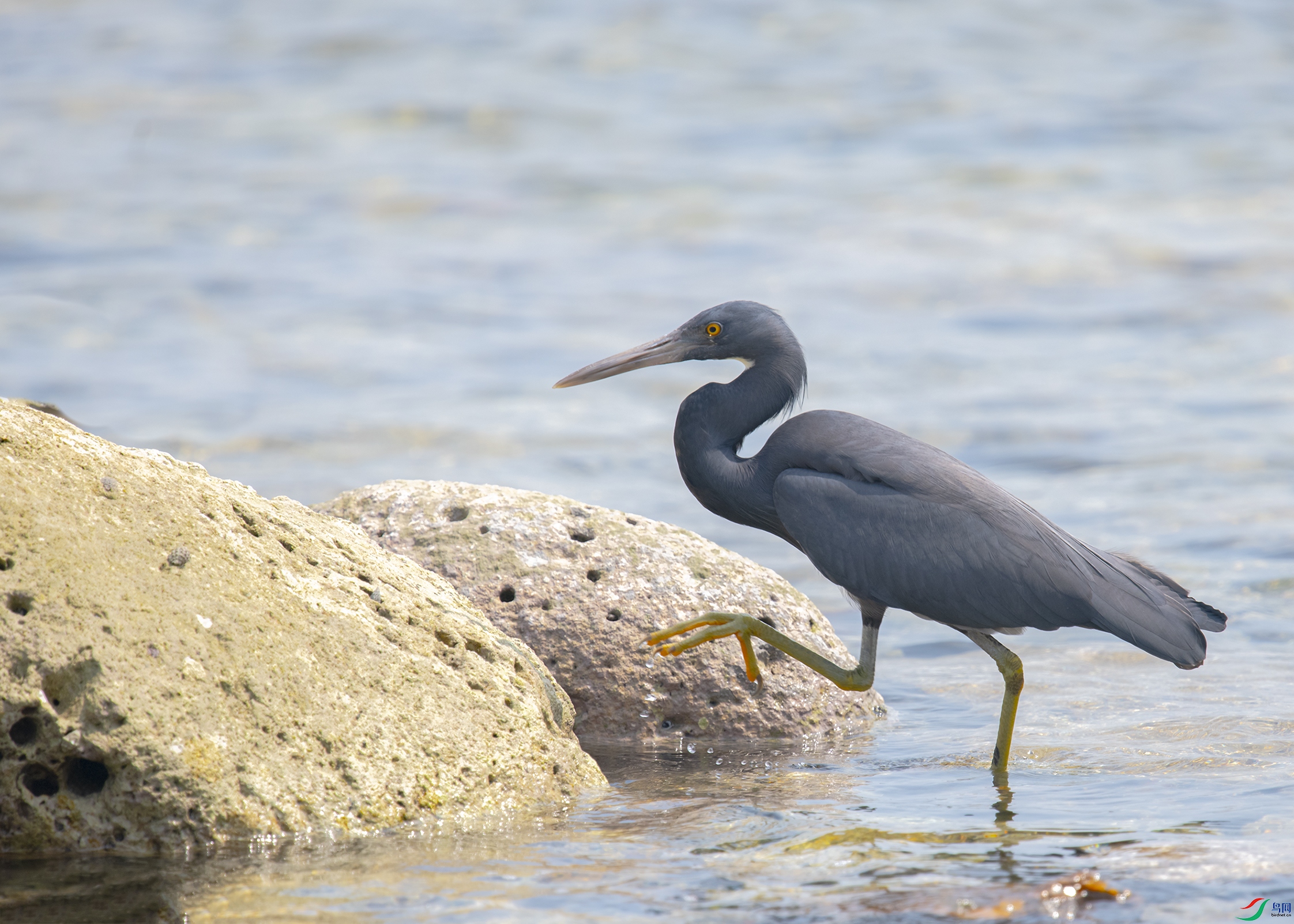 1751 ����.jpg