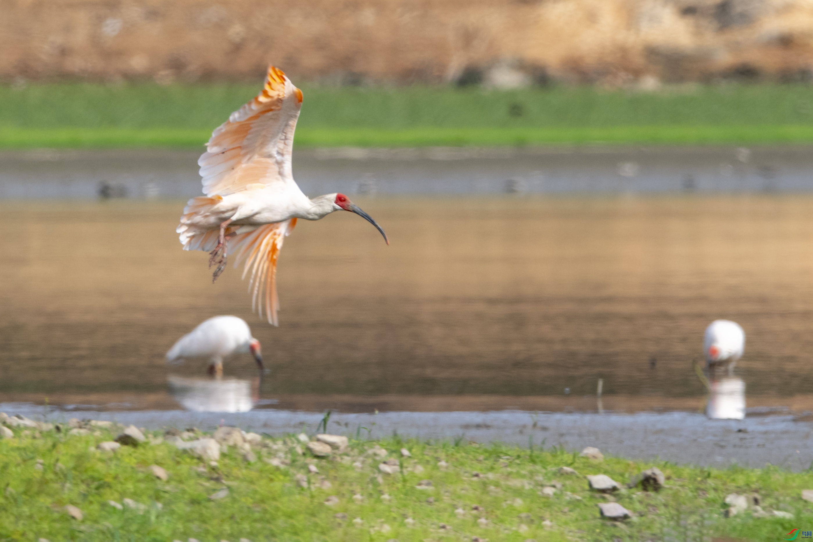 3459 ��������.jpg