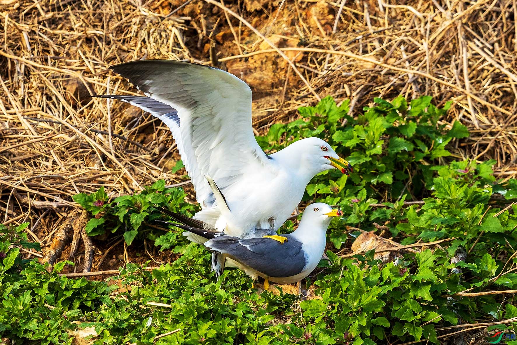 063A8524.jpgb2.jpg