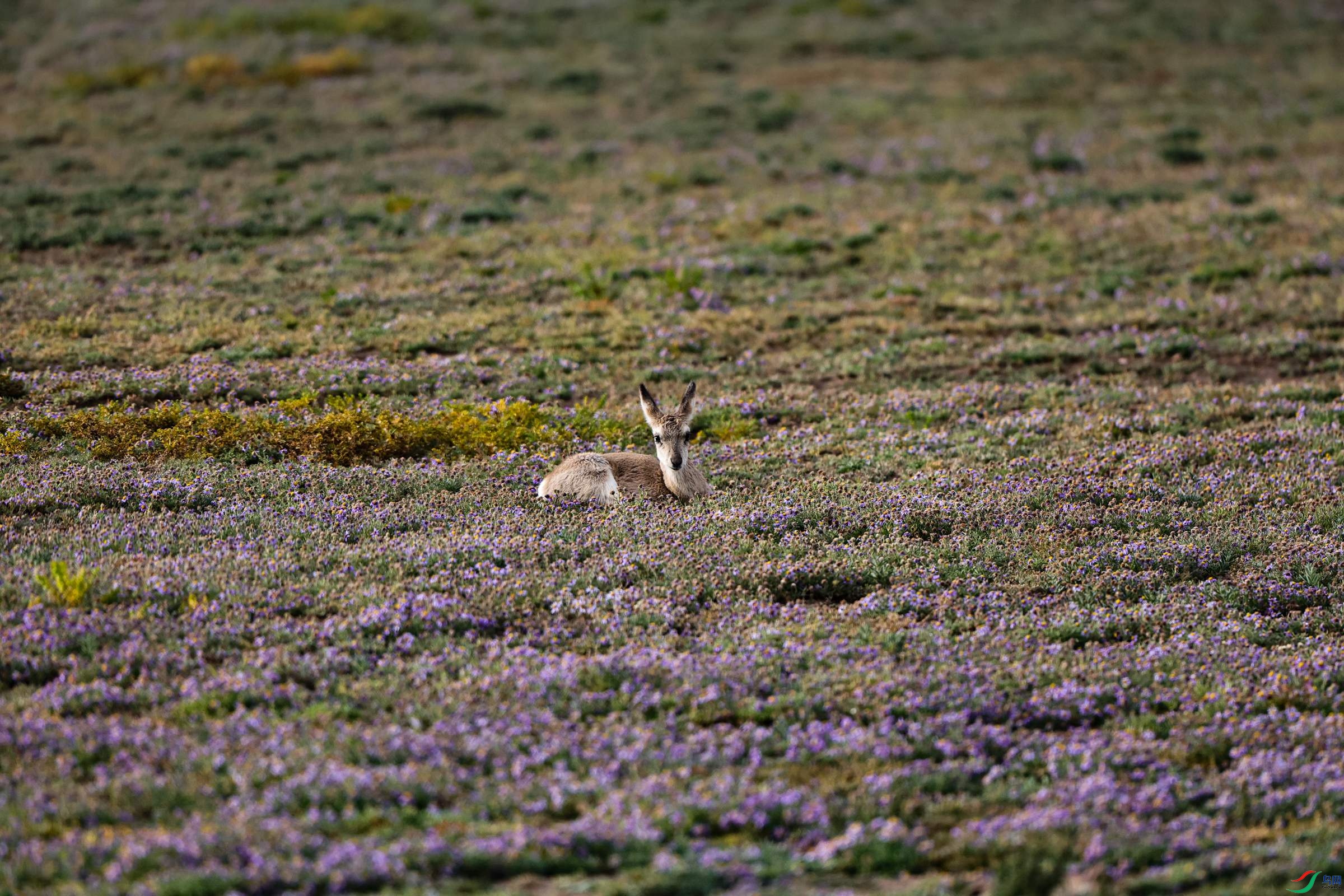 7X5A8907 - ����.JPG