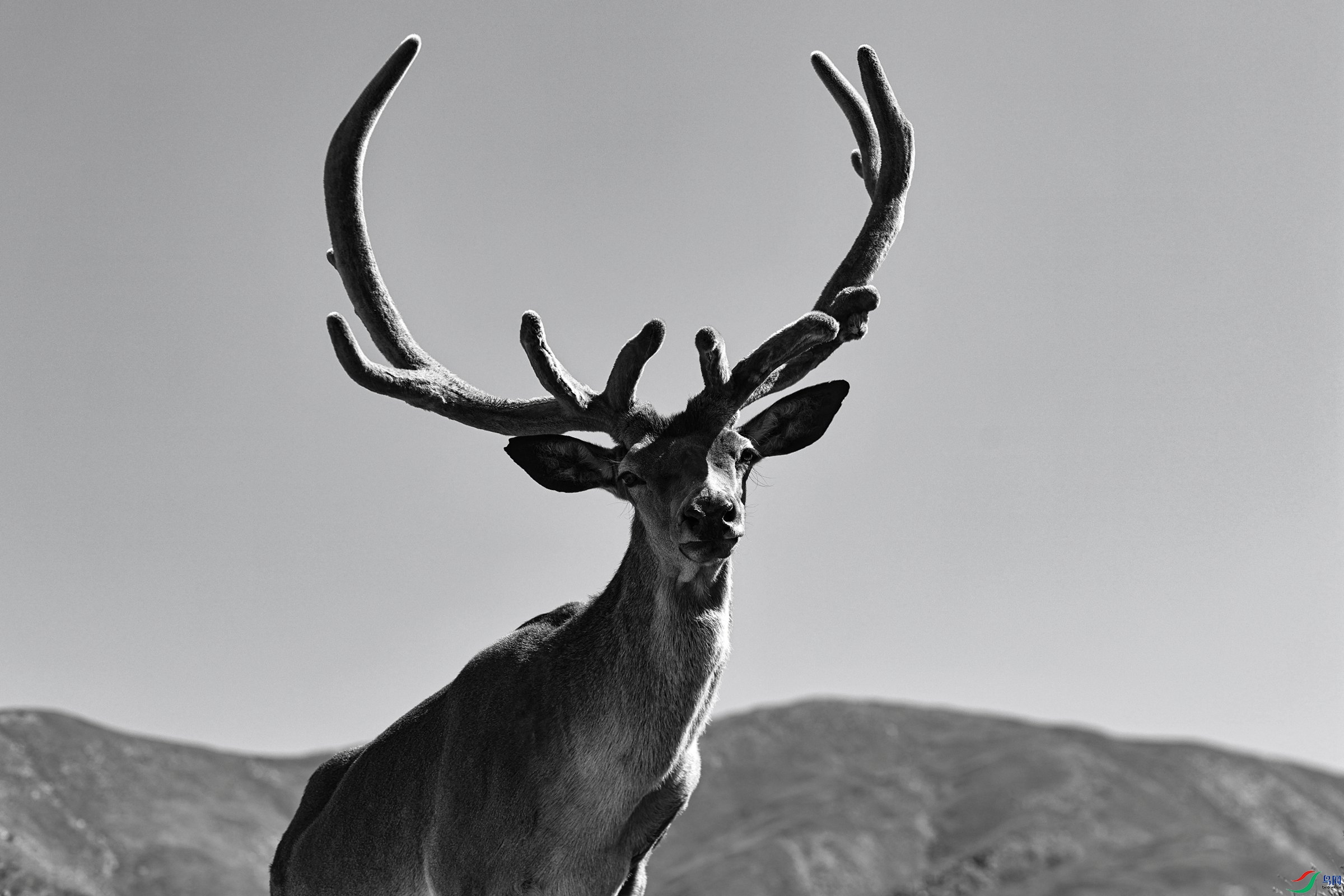 7X5A0460 - ����.JPG