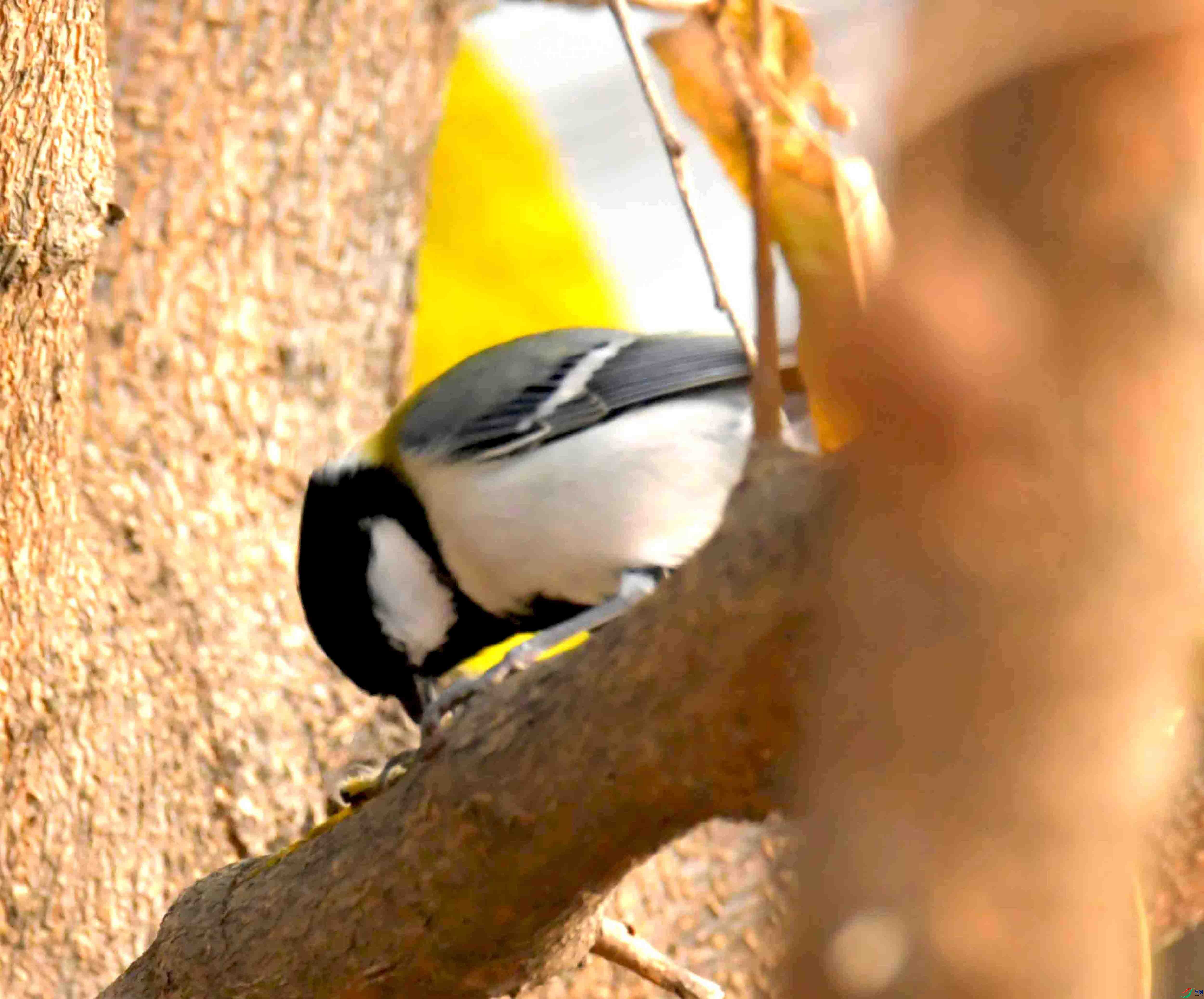 DSC_2074.JPG