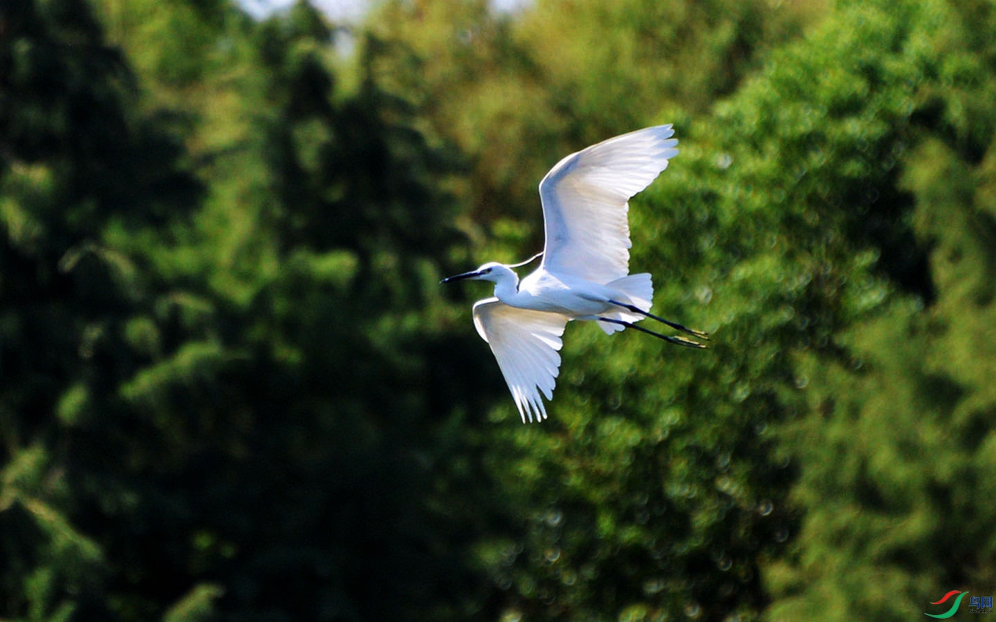 777 (28)_����.jpg