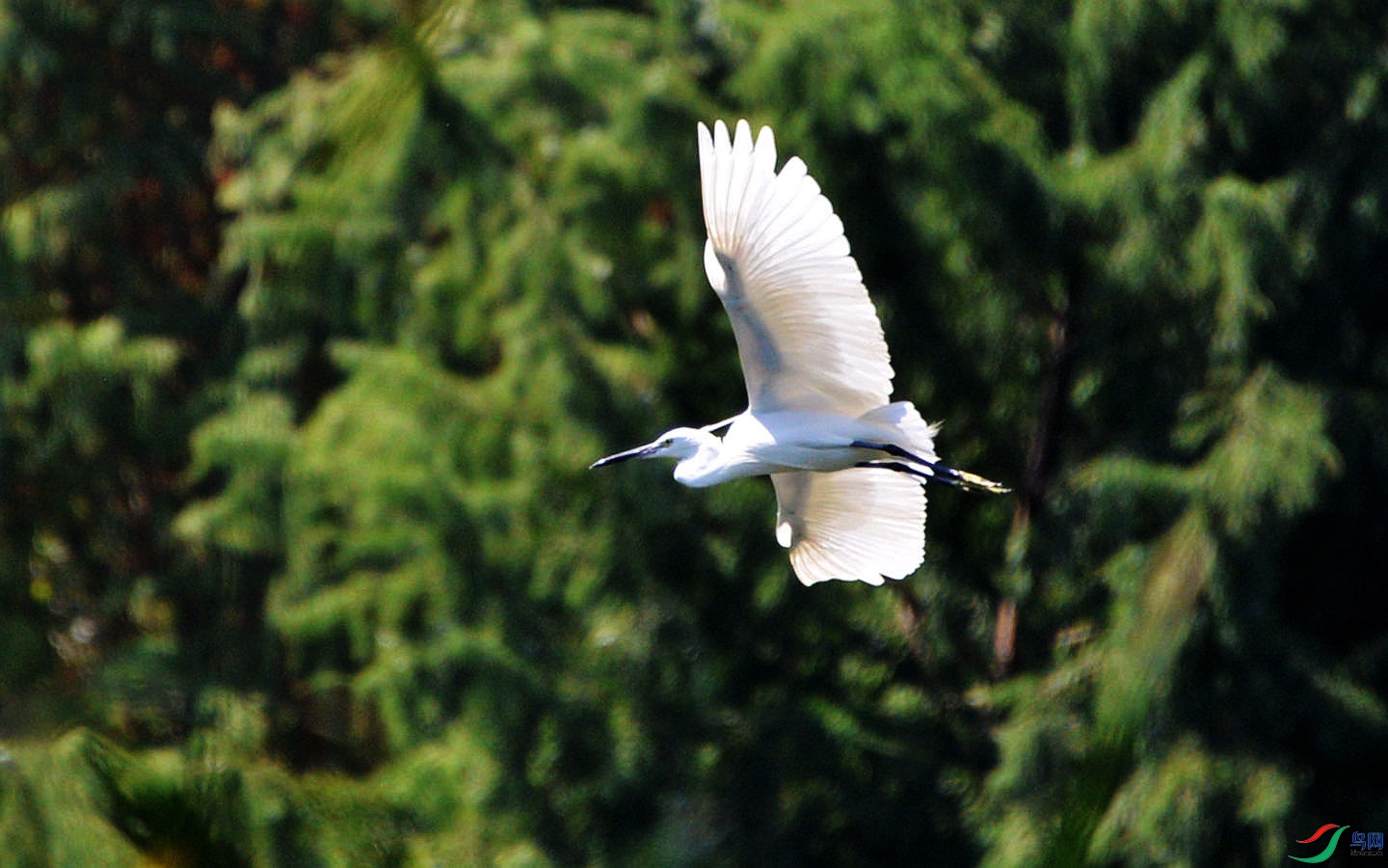 777 (30)_����.jpg