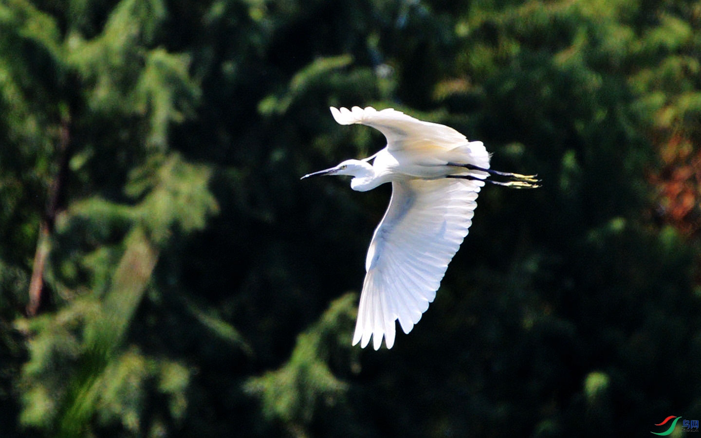 777 (31)_����.jpg