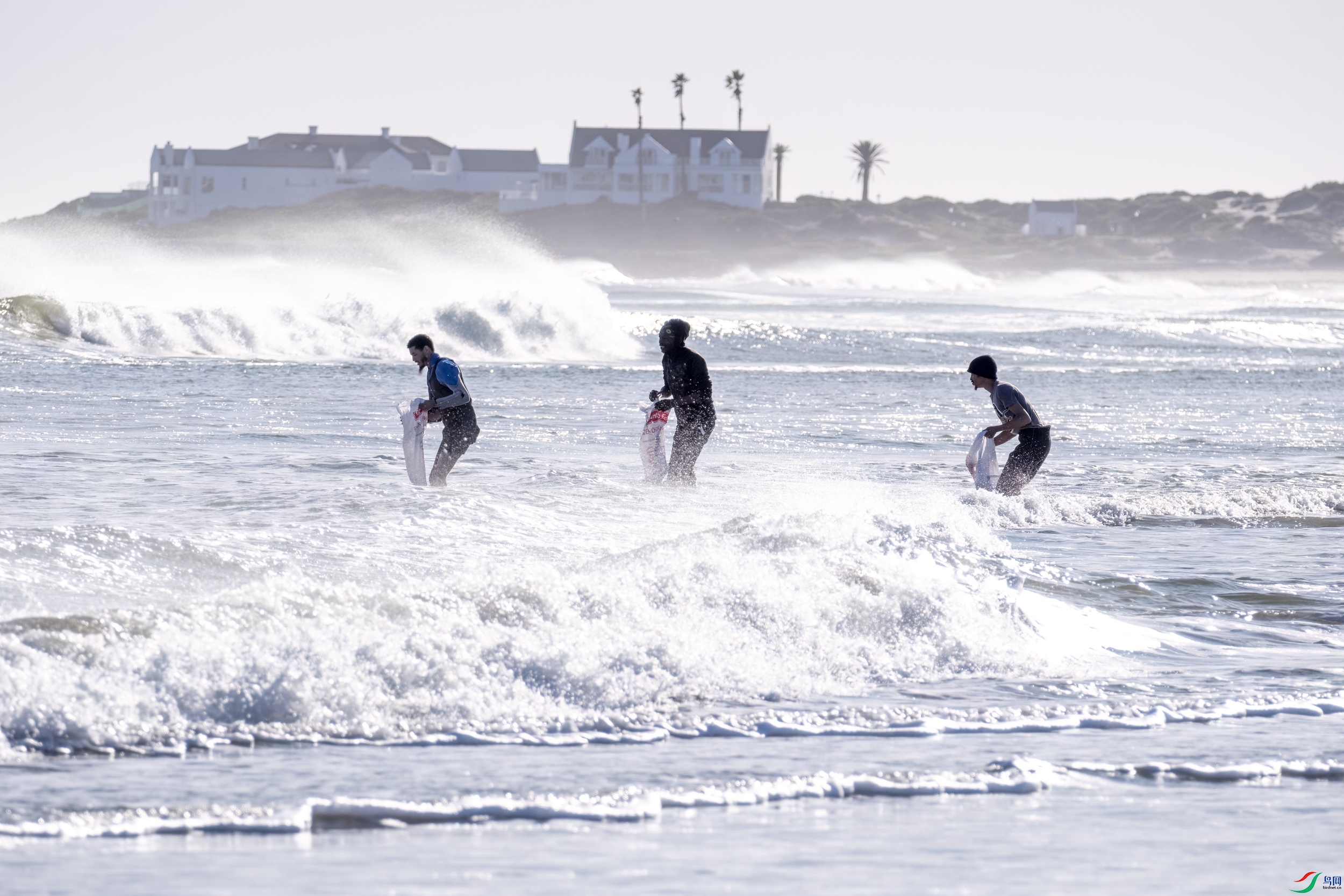 100_400_5_6.3_dgdnos_c020_Xmt_Impression_Image_William Steel_05.jpg