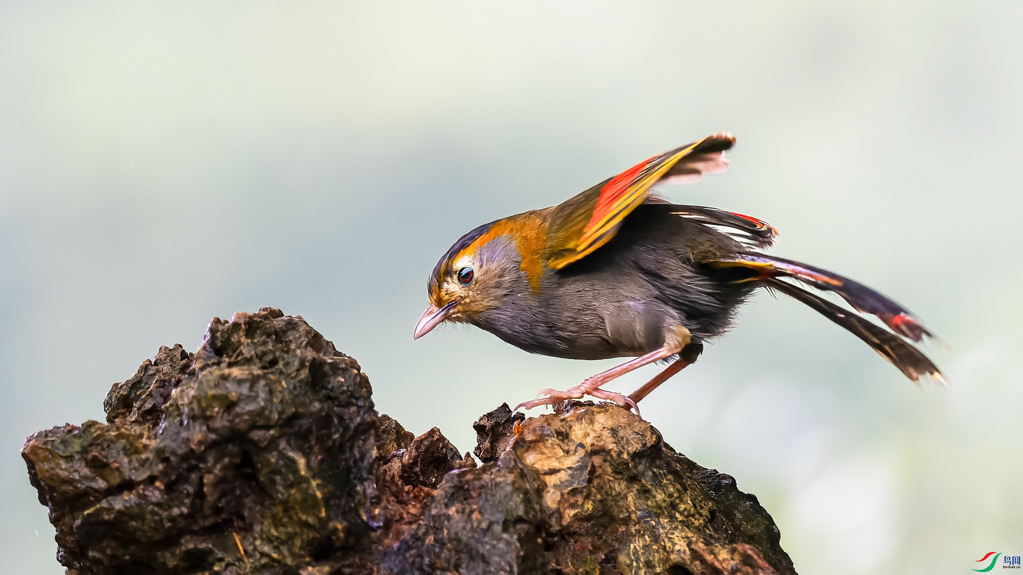 DxO_DeepPRIME__8290536-ORF_DxO_DeepPRIME ���� 2.jpg